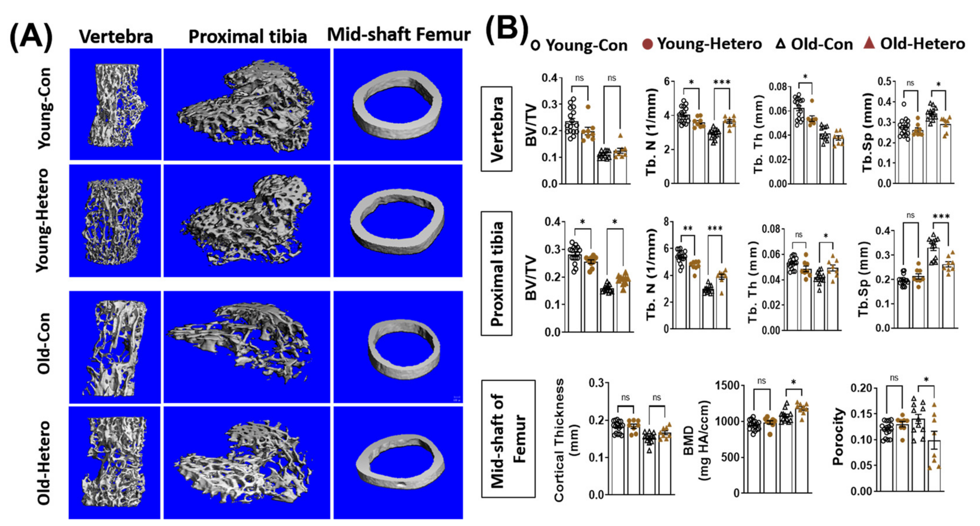 Metabolites 11 00247 g002