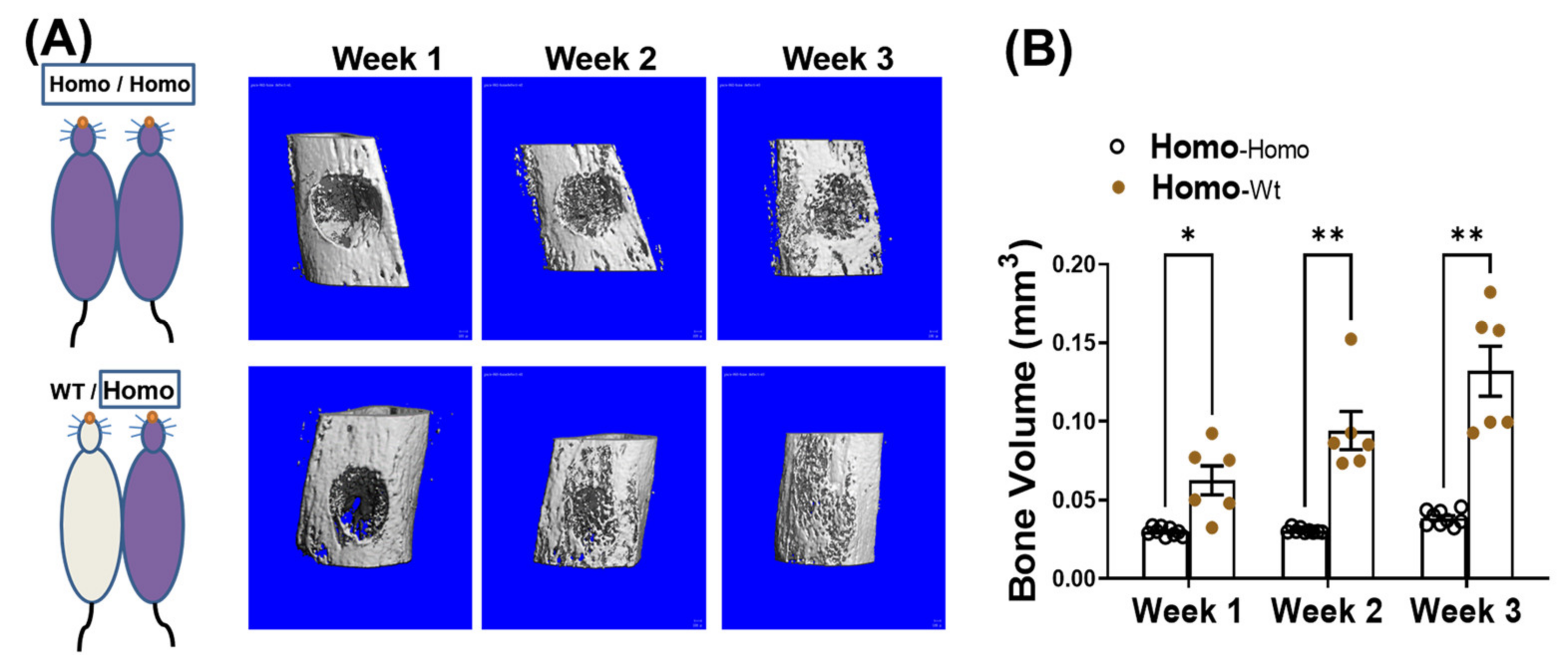 Metabolites 11 00247 g003