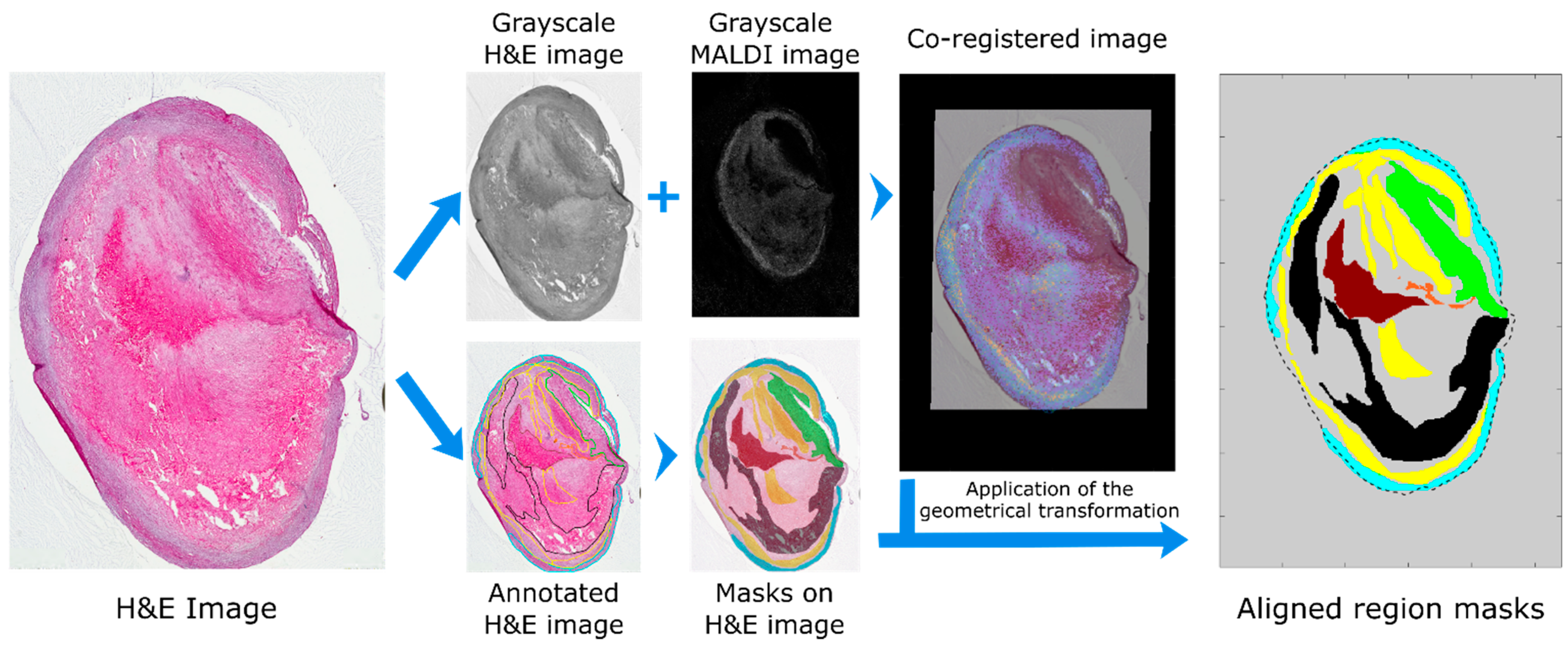 Metabolites 11 00250 g002 Metabolites 11 00250 g002