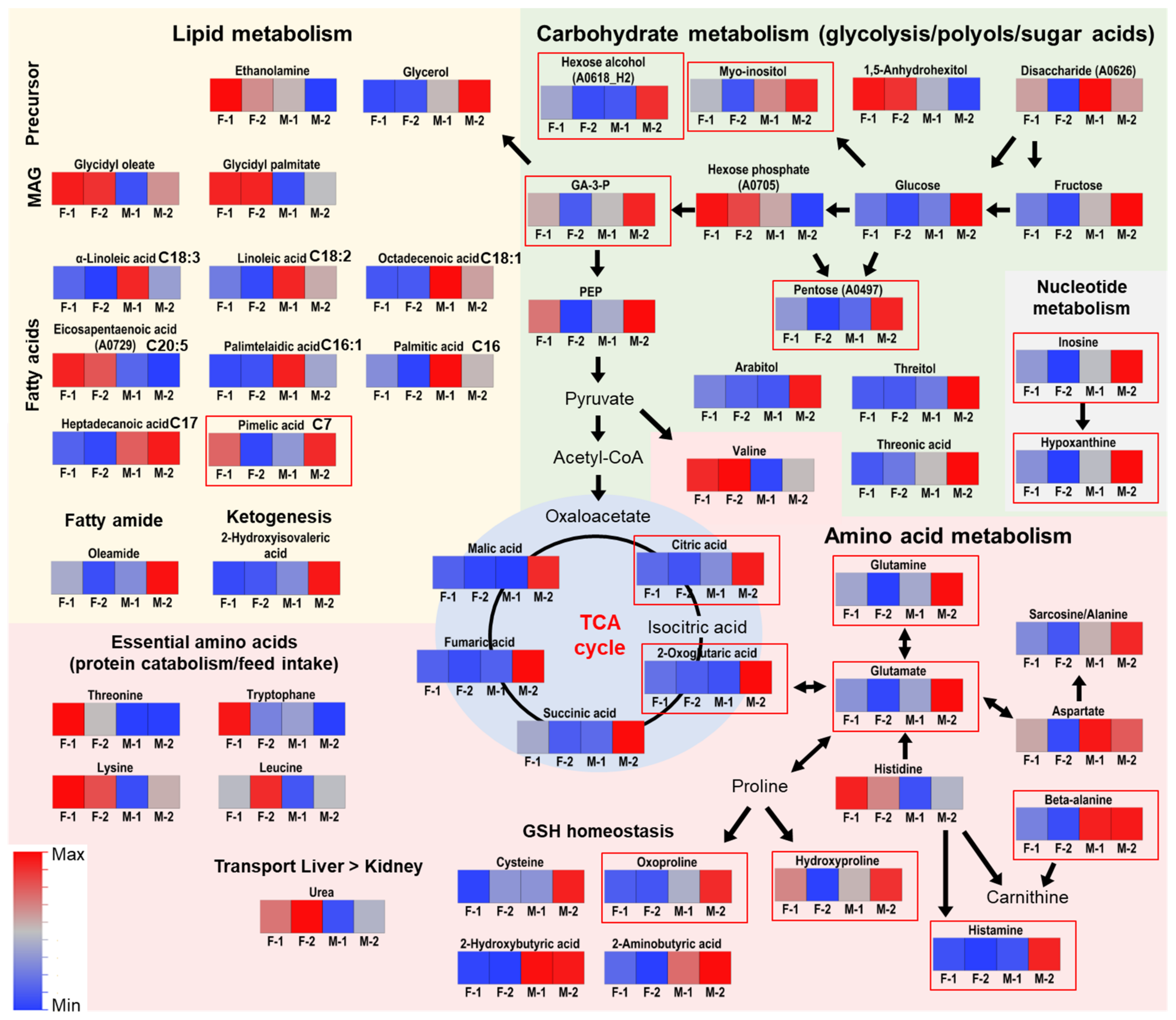 Metabolites 11 00261 g003 Metabolites 11 00261 g003