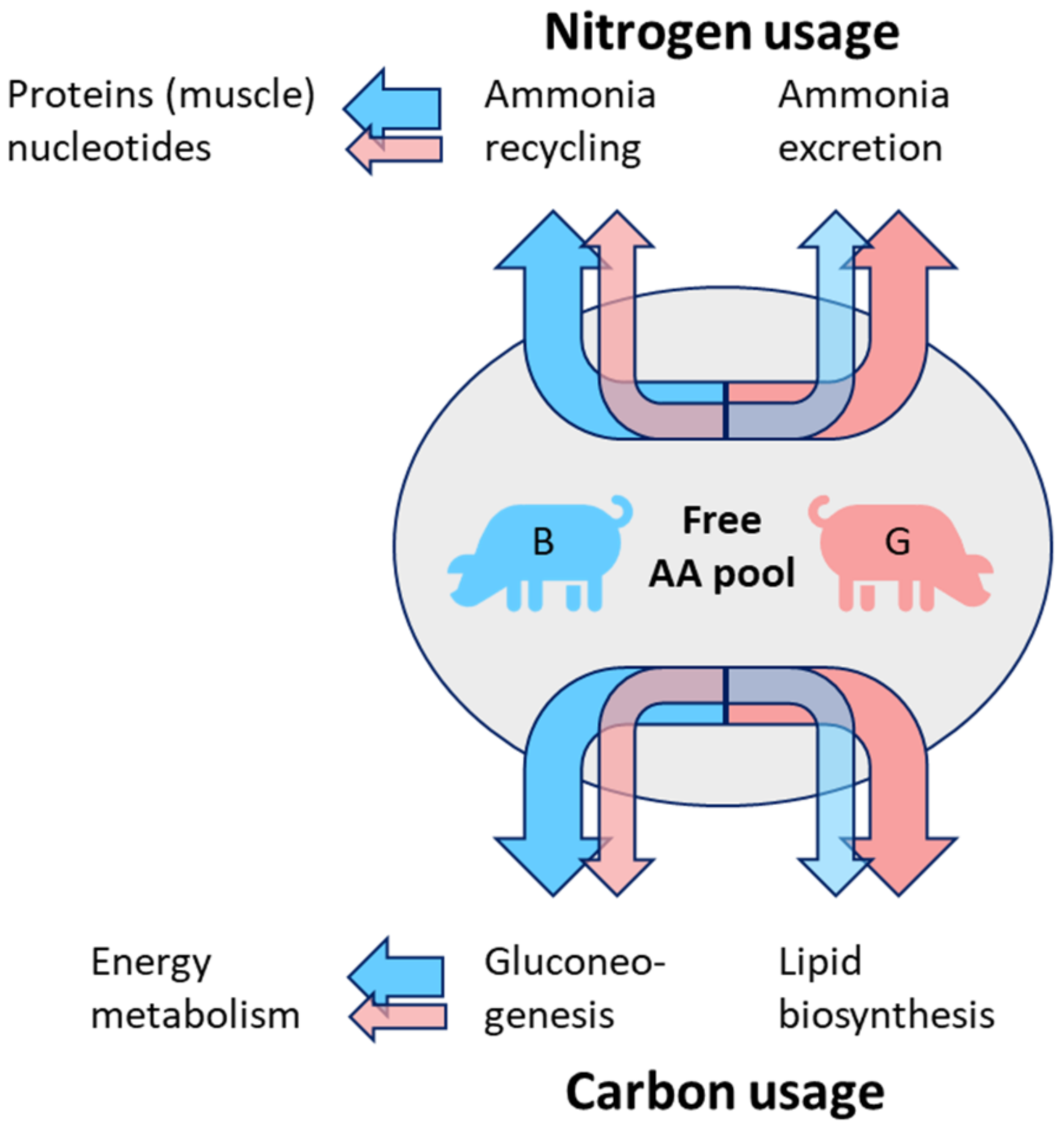 Metabolites 11 00261 g006 Metabolites 11 00261 g006