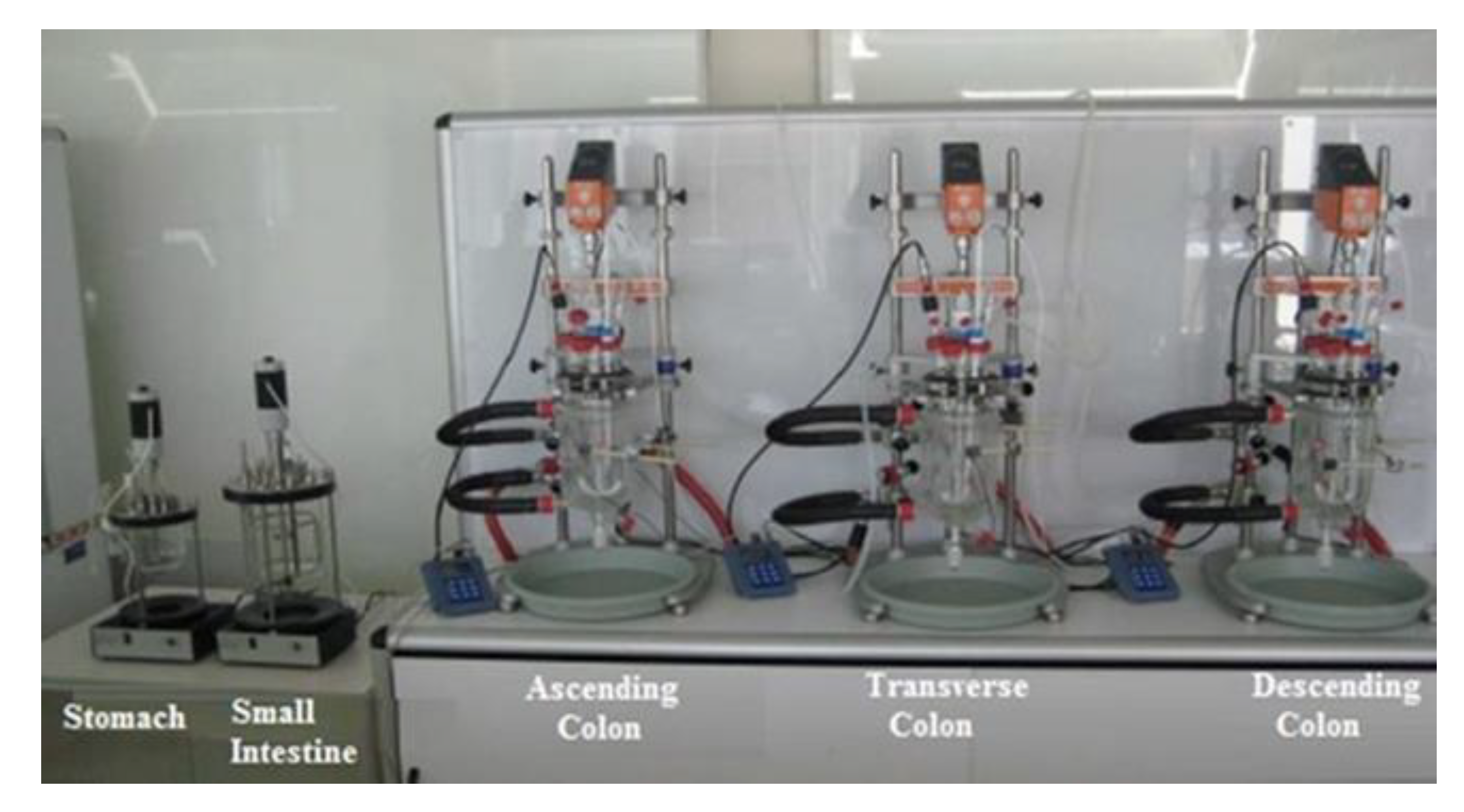 Metabolites 11 00262 g008 Metabolites 11 00262 g008