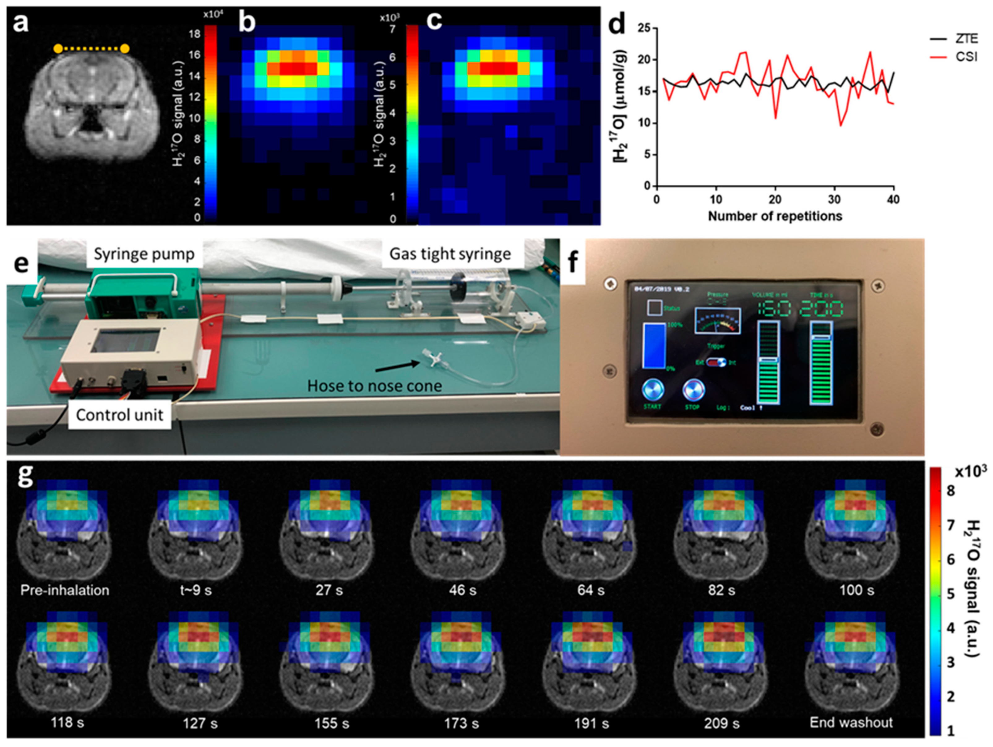 Metabolites 11 00263 g001 Metabolites 11 00263 g001