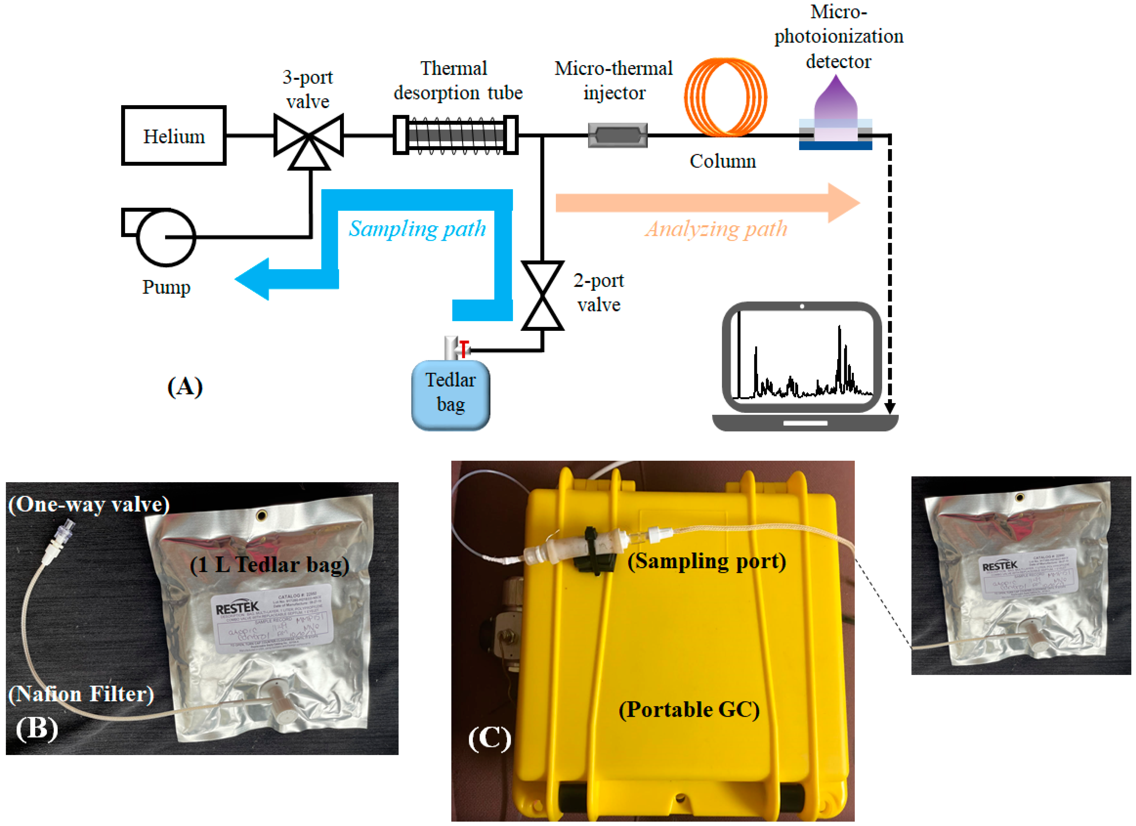 Metabolites 11 00265 g005