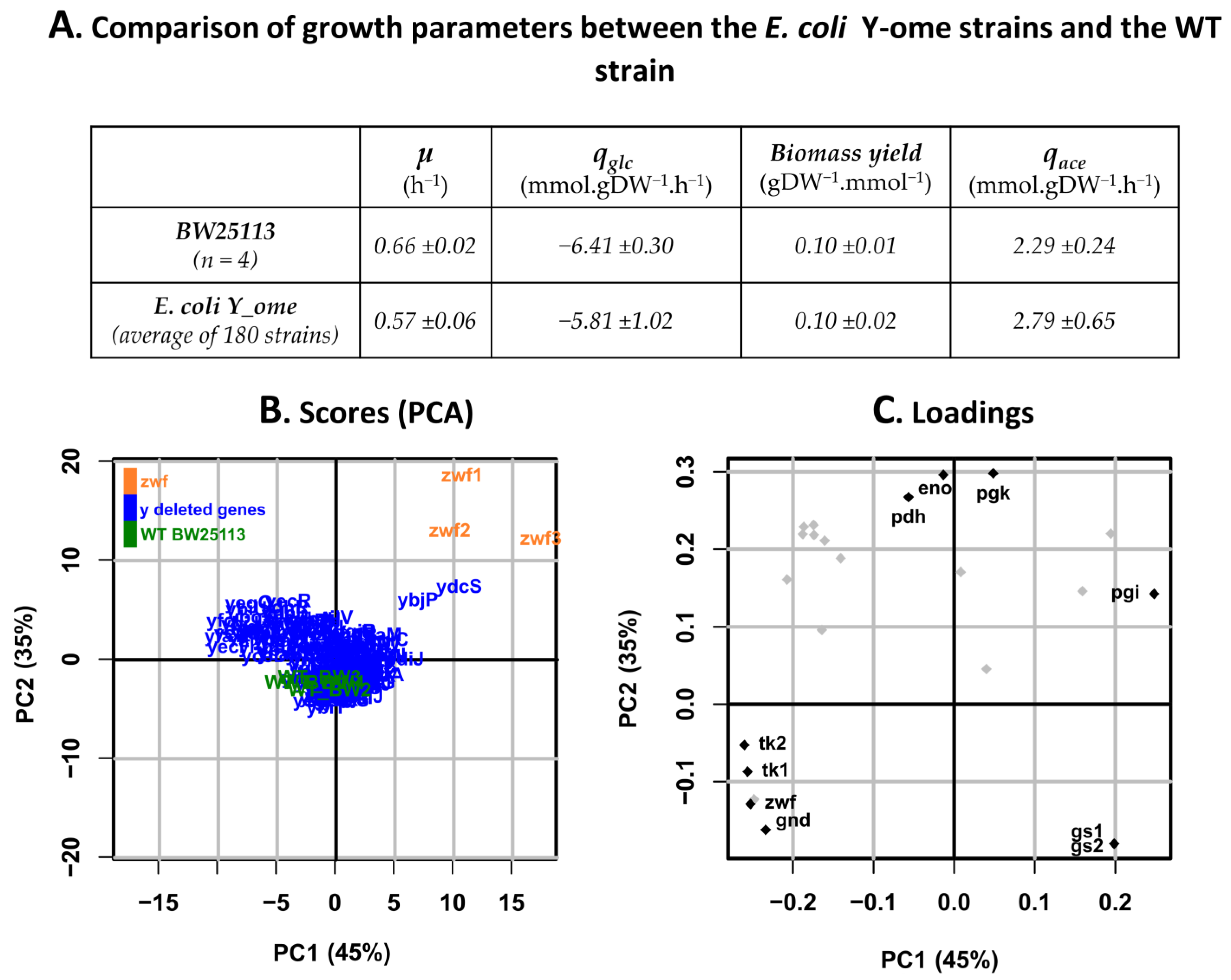 Metabolites Free Full Text Exploring The Glucose Fluxotype Of The E Coli Y Ome Using High Resolution Fluxomics Html Metabolites Free Full Text Exploring The Glucose Fluxotype Of The E Coli Y Ome Using High Resolution Fluxomics Html