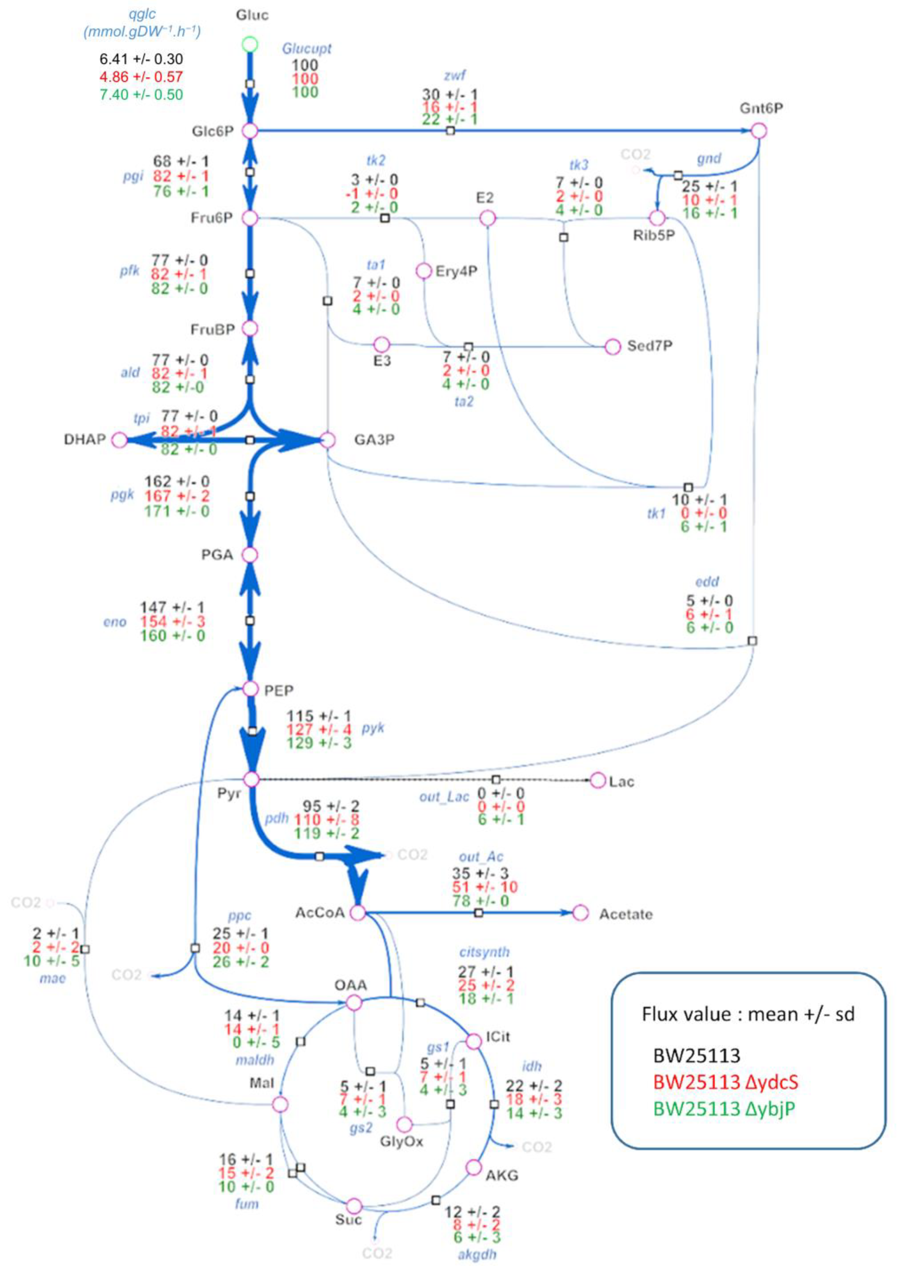 Metabolites 11 00271 g004 Metabolites 11 00271 g004