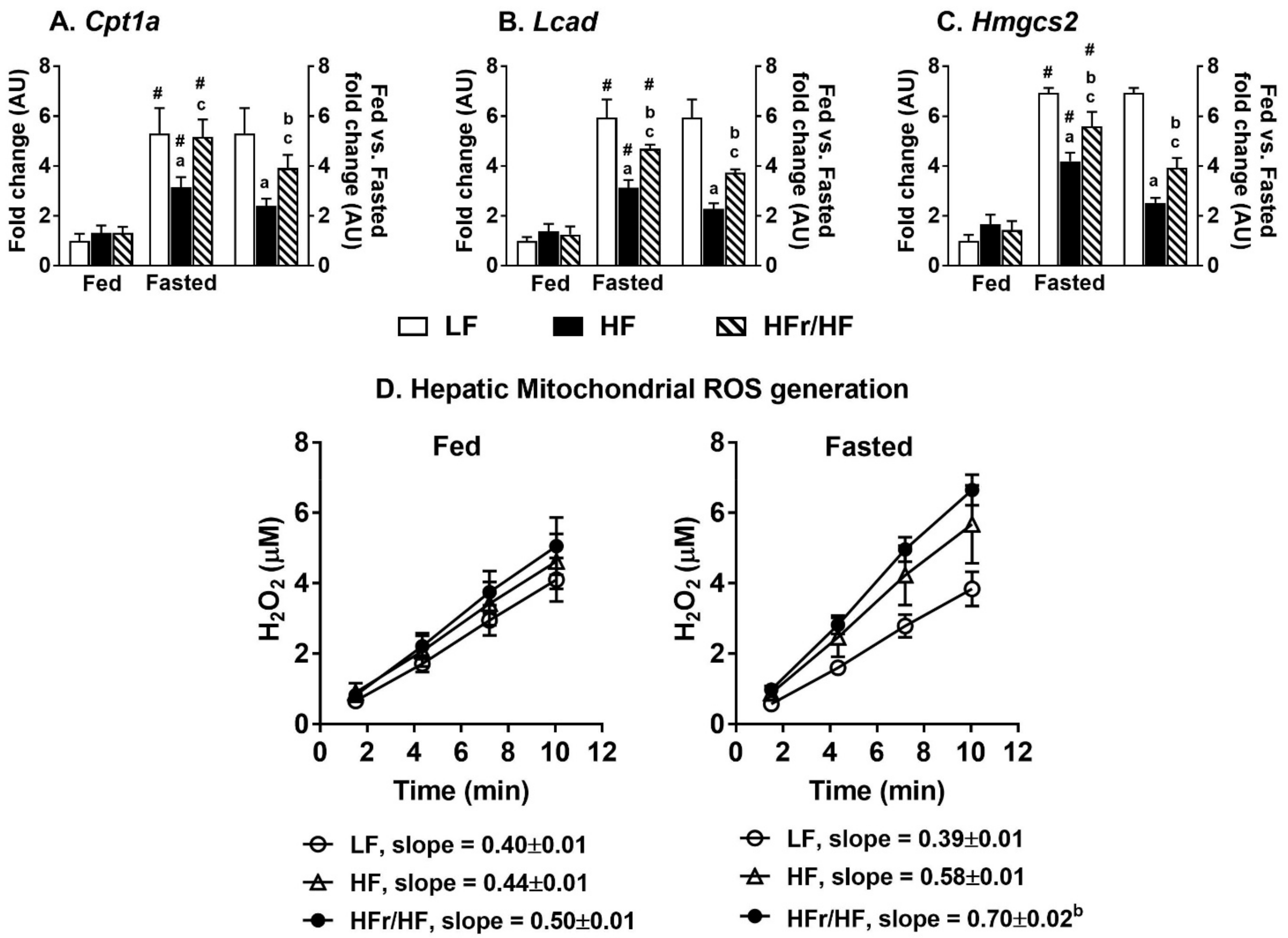 Metabolites 11 00272 g008 Metabolites 11 00272 g008