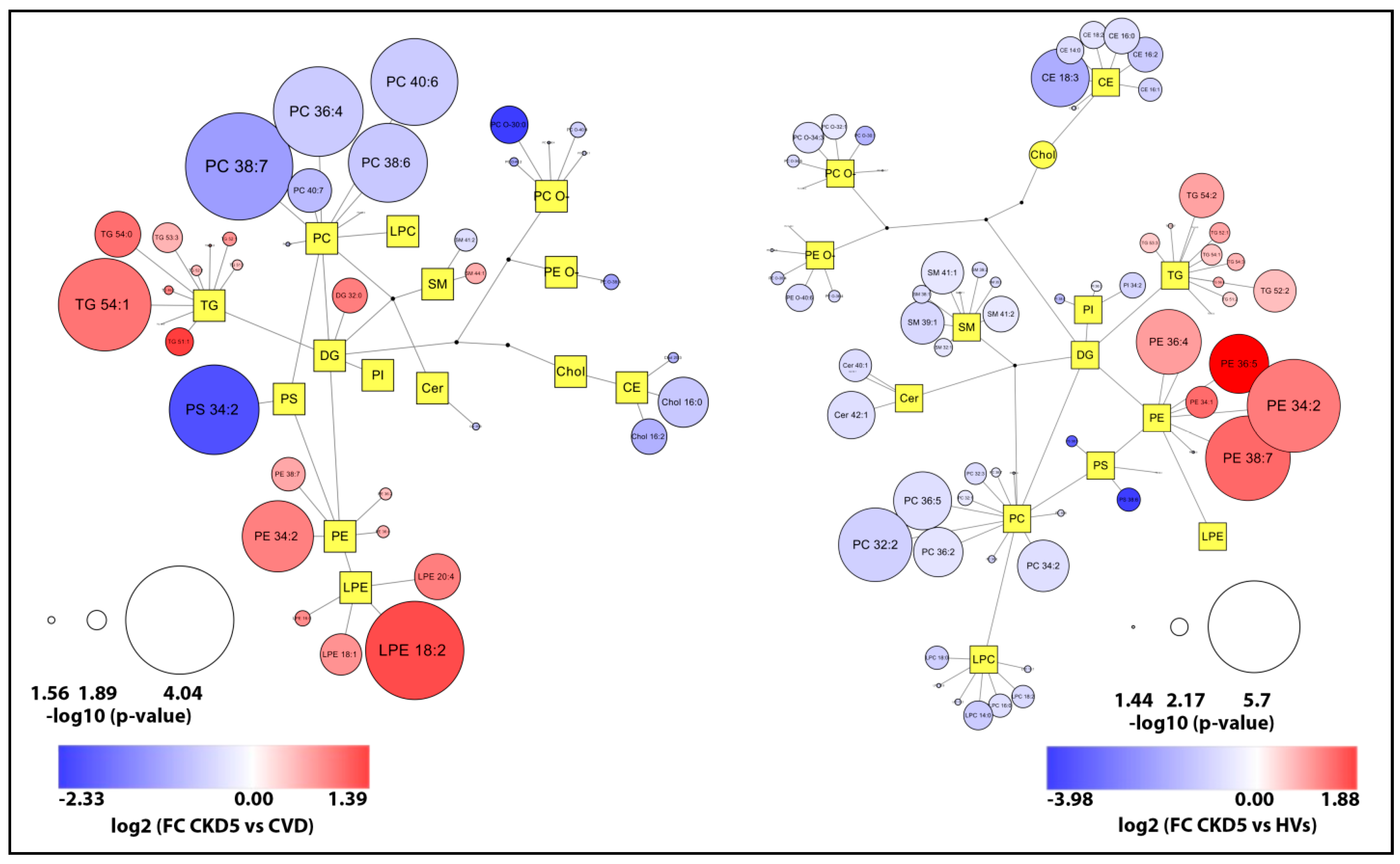 Metabolites 11 00275 g006 Metabolites 11 00275 g006