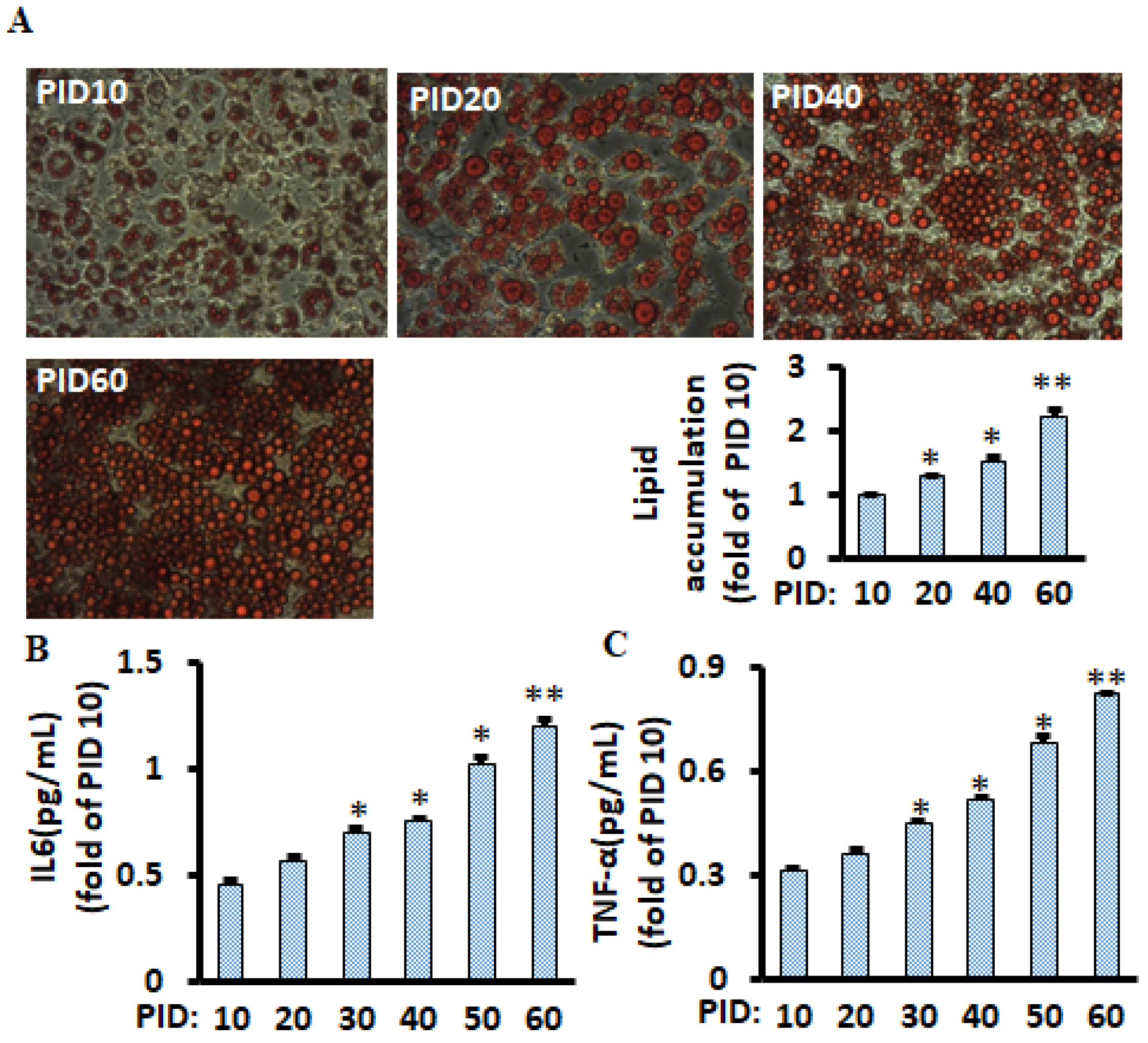 Metabolites 11 00292 g001
