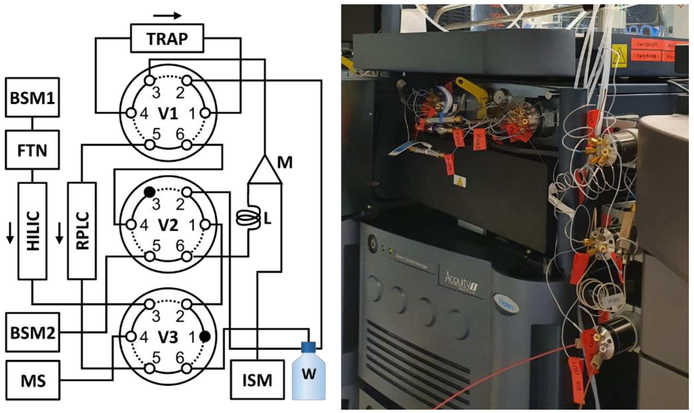 Metabolites 11 00295 g001 Metabolites 11 00295 g001