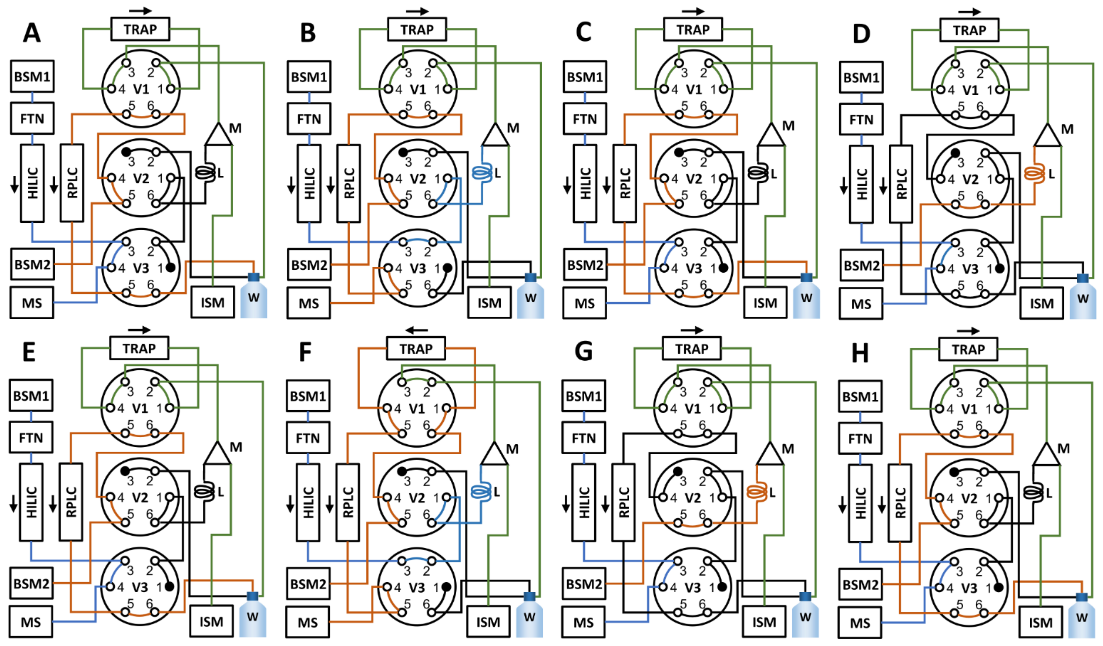 Metabolites 11 00295 g015 Metabolites 11 00295 g015