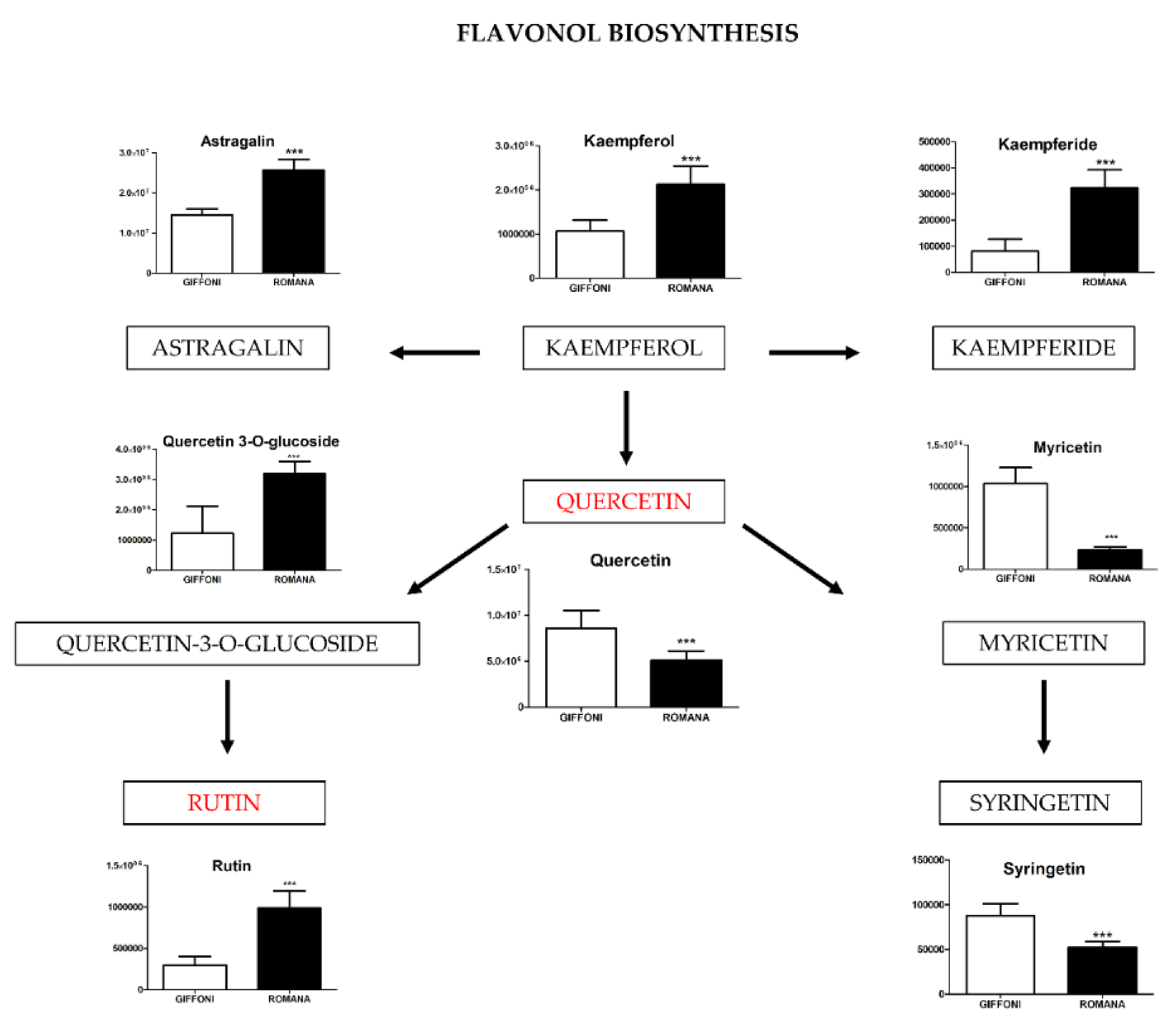 Metabolites 11 00296 g003