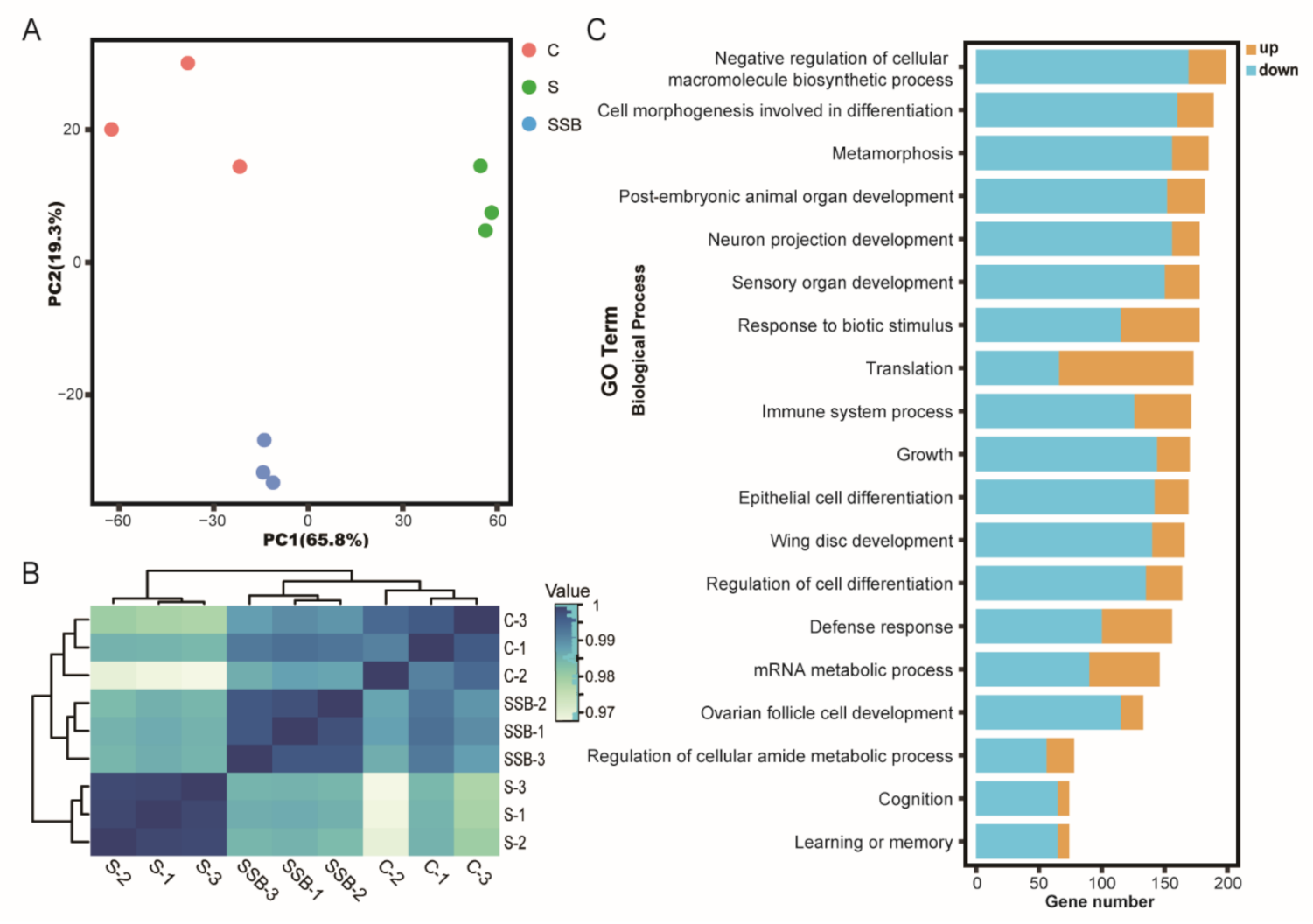 Metabolites 11 00298 g001