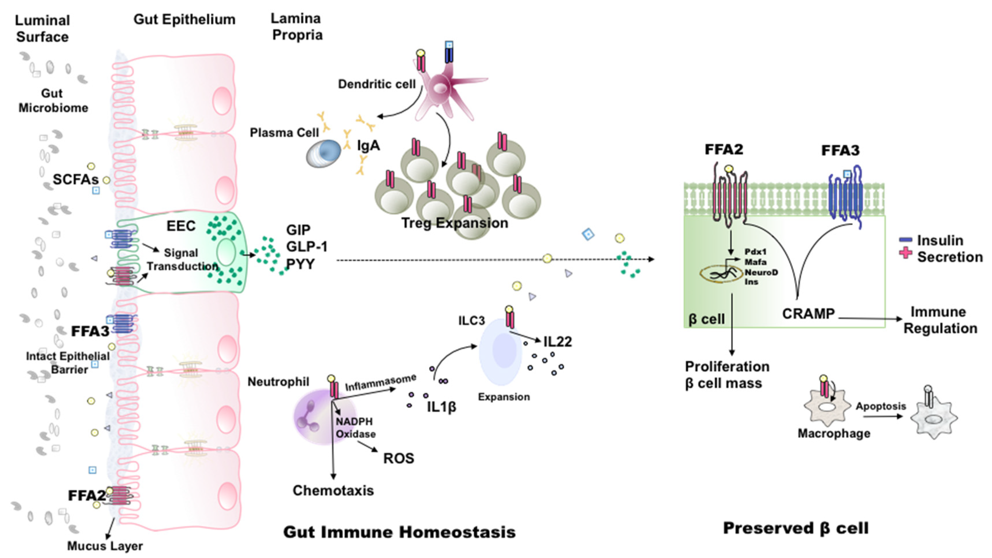 Metabolites 11 00302 g001 Metabolites 11 00302 g001