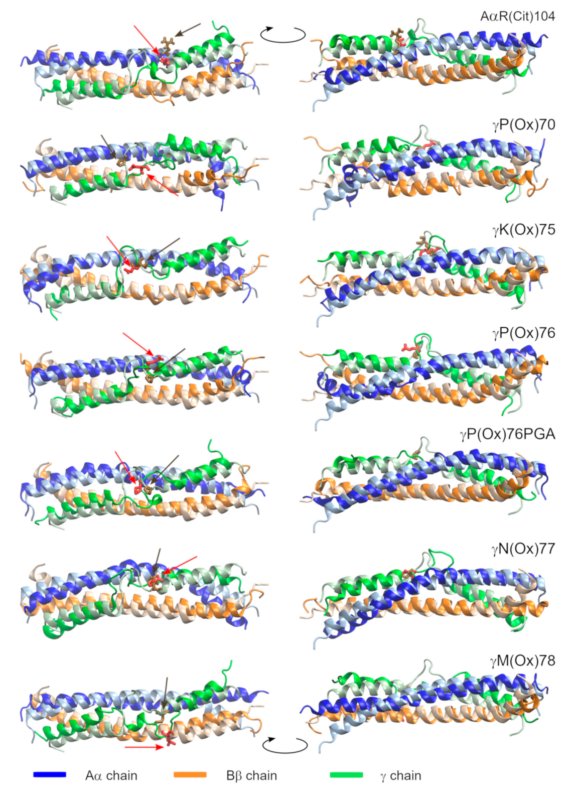 Metabolites 11 00307 g003