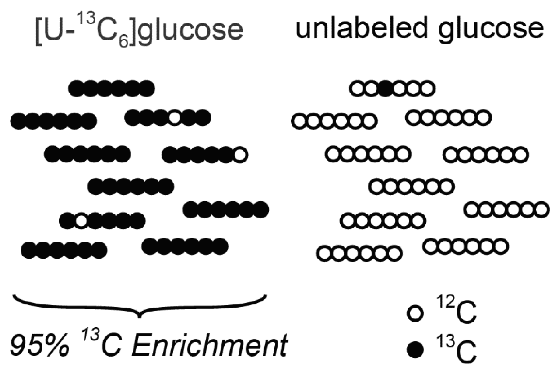 Metabolites 11 00310 g003