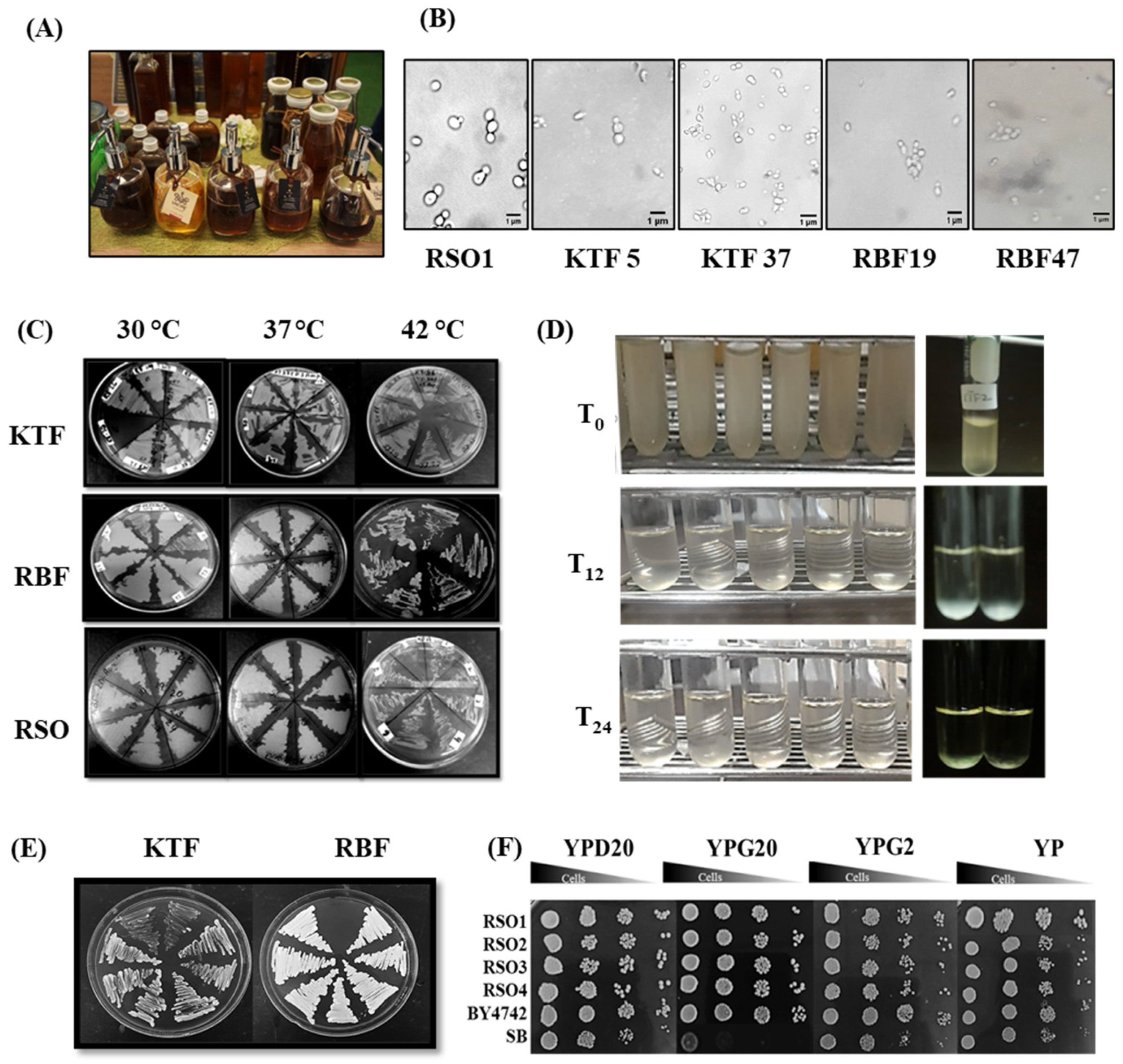 Metabolites 11 00312 g001