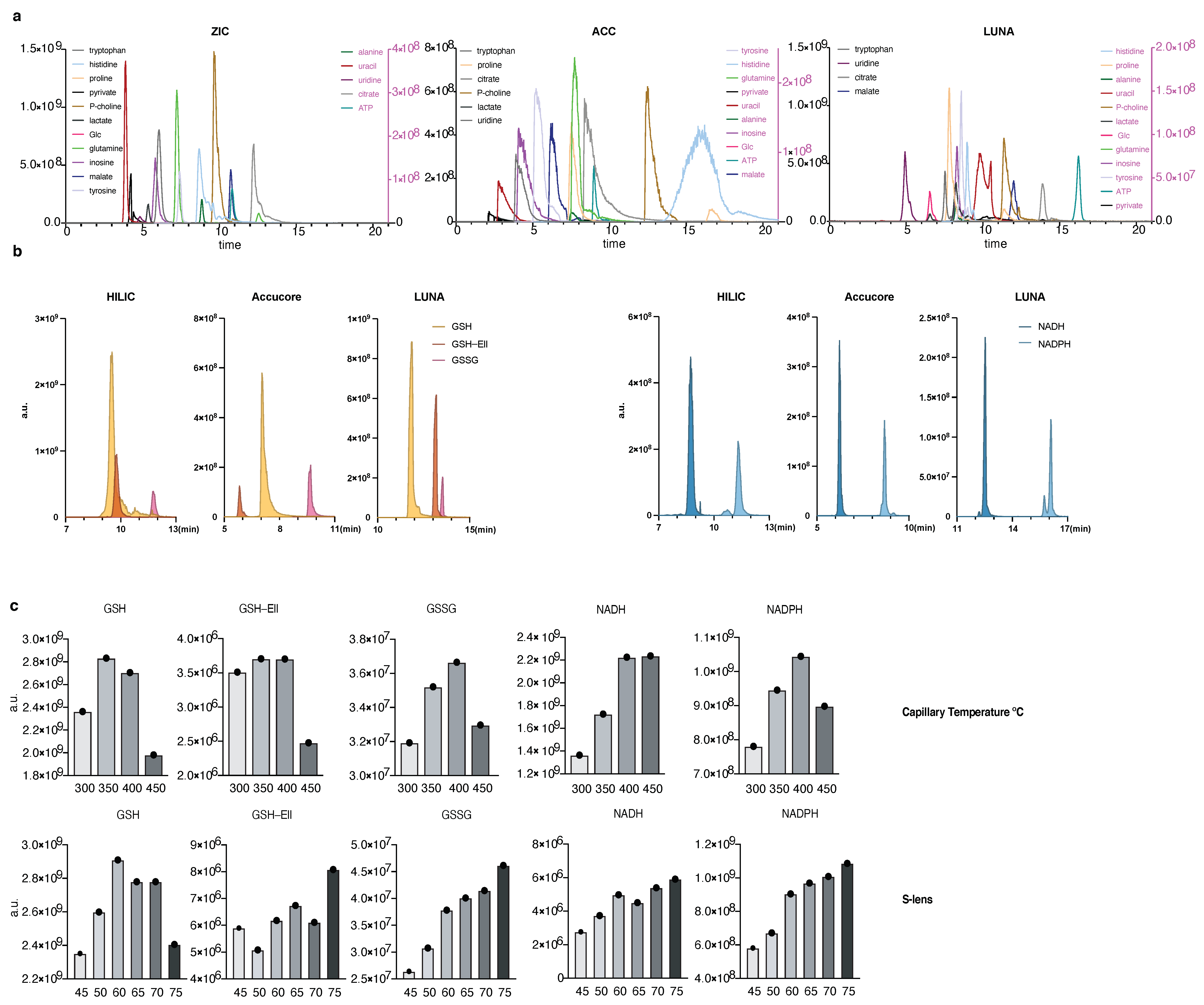 Metabolites 11 00313 g001a