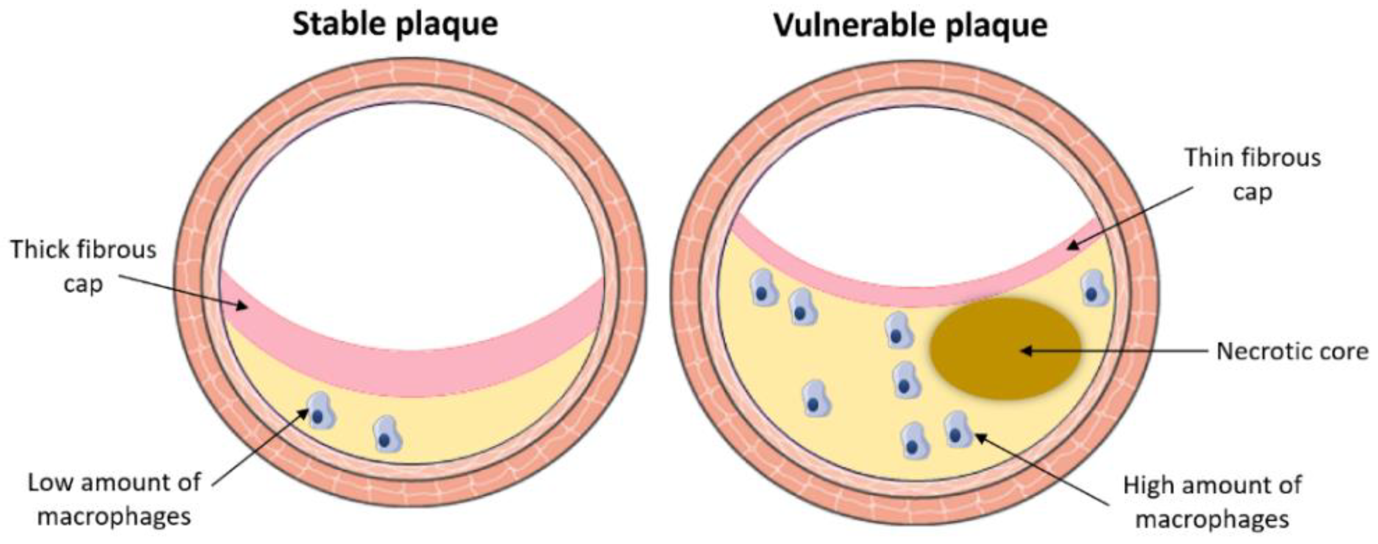Metabolites 11 00319 g002 Metabolites 11 00319 g002