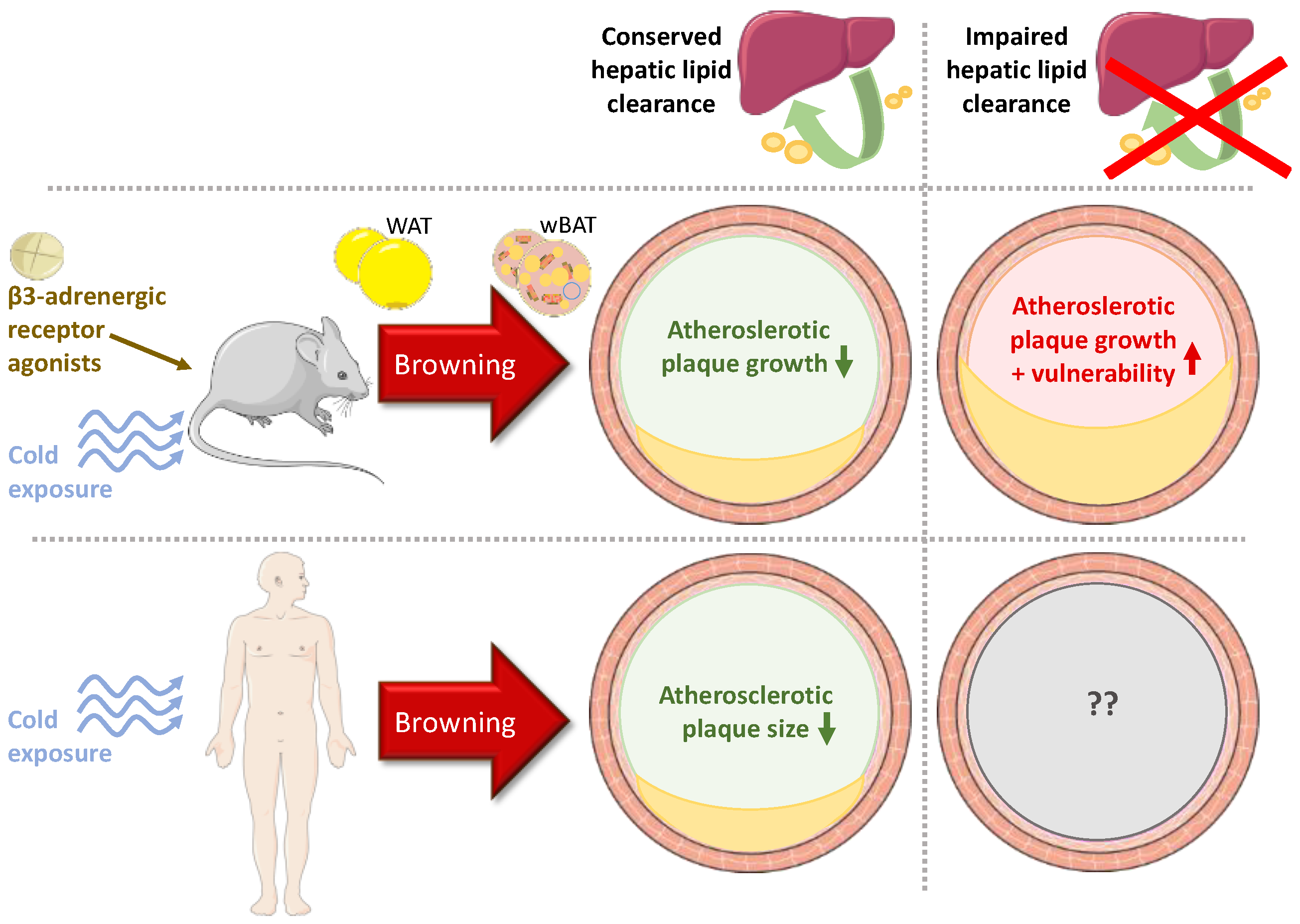 Metabolites 11 00319 g004 Metabolites 11 00319 g004