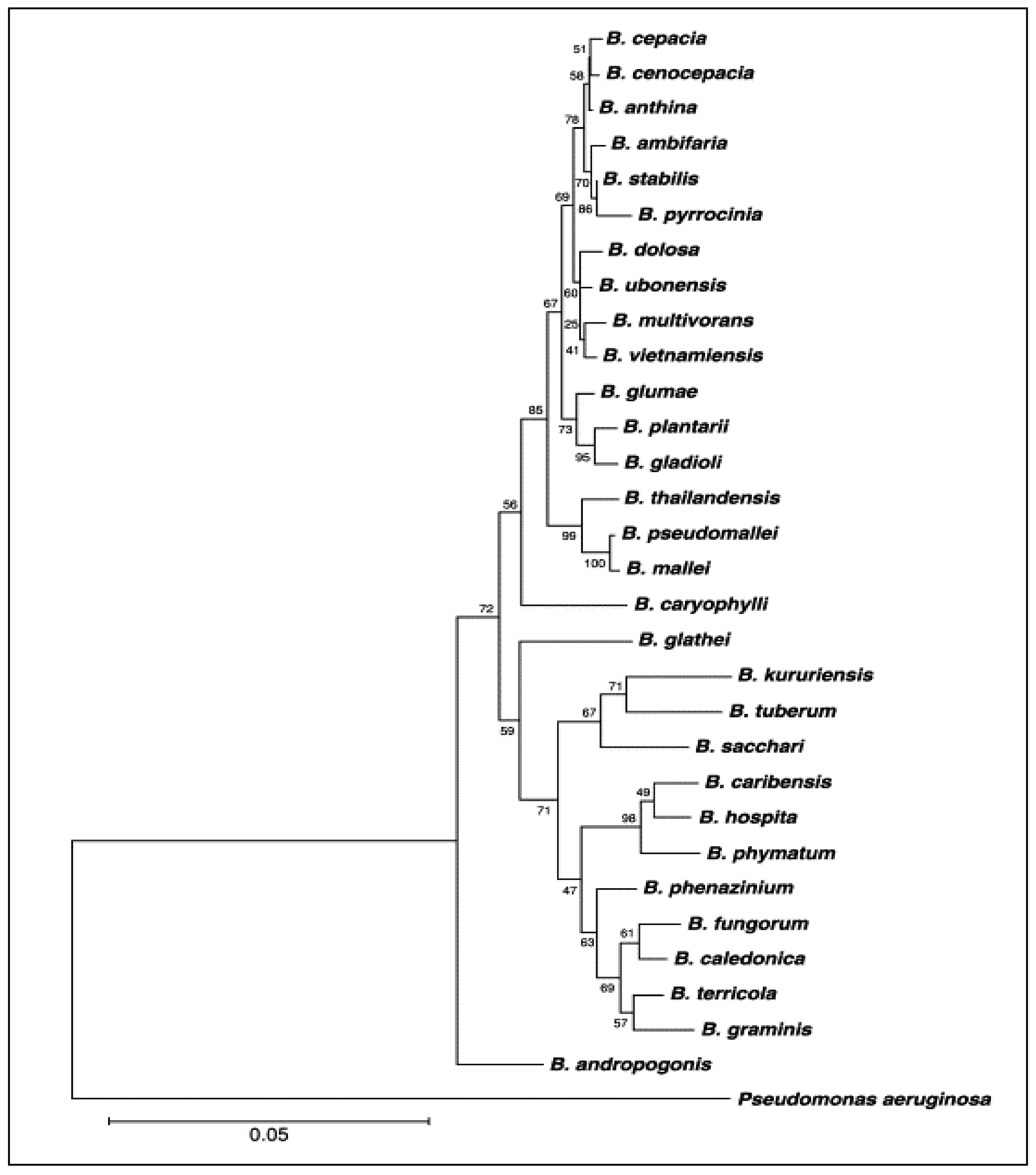 Metabolites 11 00321 g001