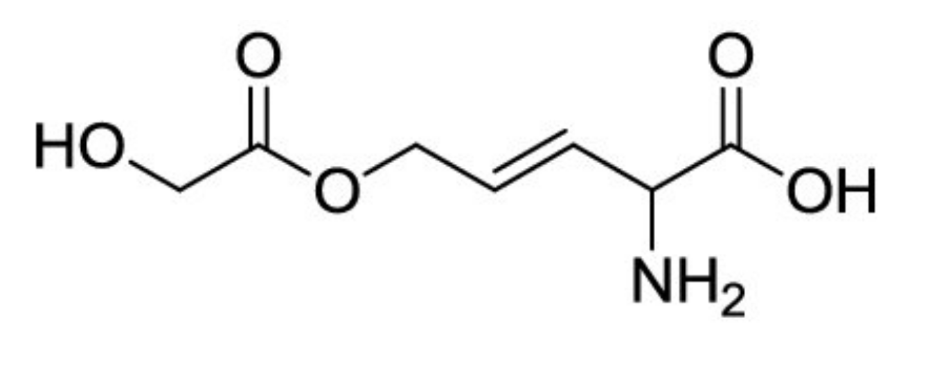 Metabolites 11 00321 g003
