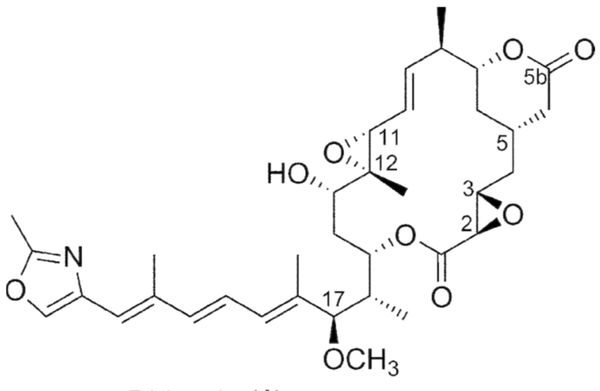 Metabolites 11 00321 g004