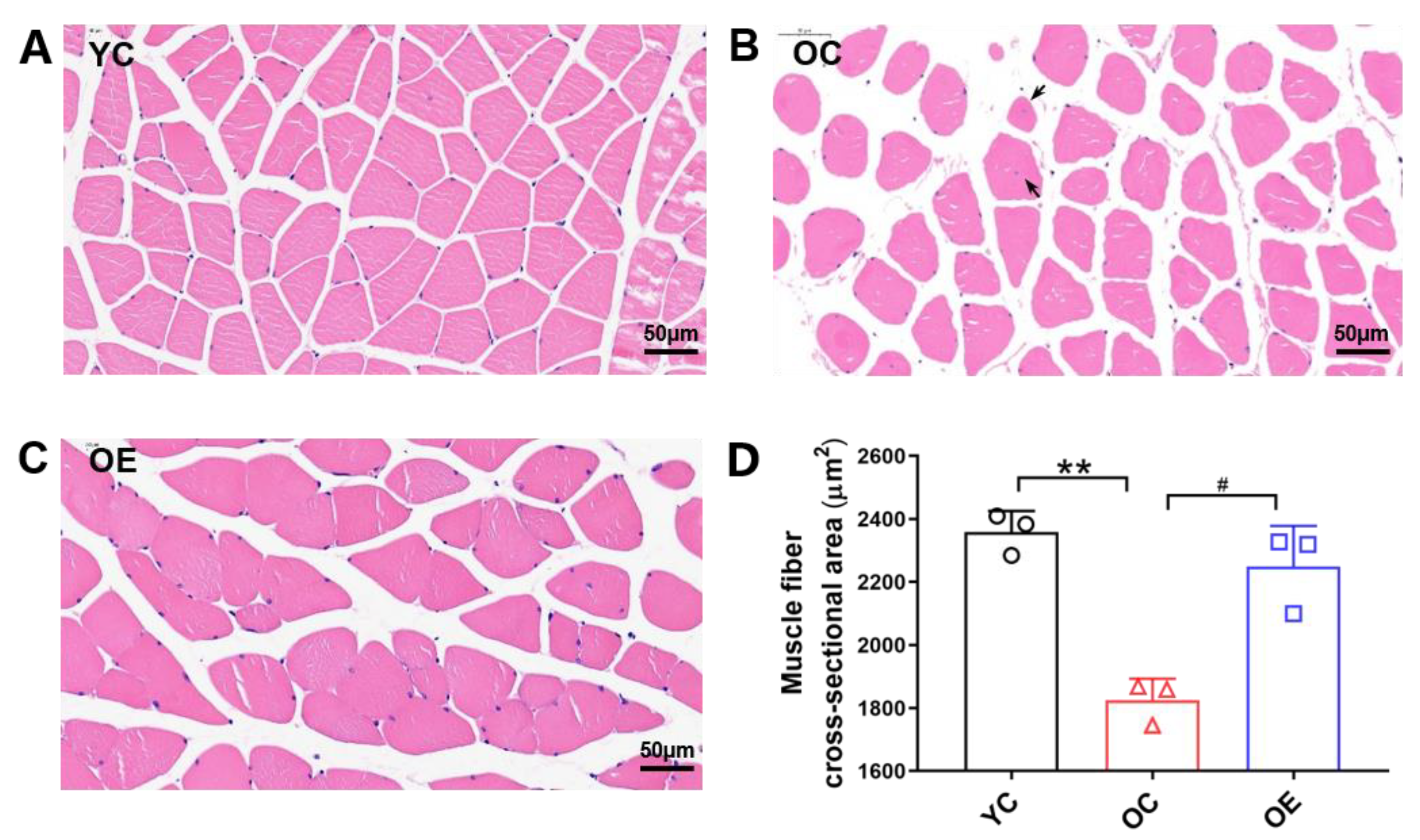 Metabolites 11 00323 g001