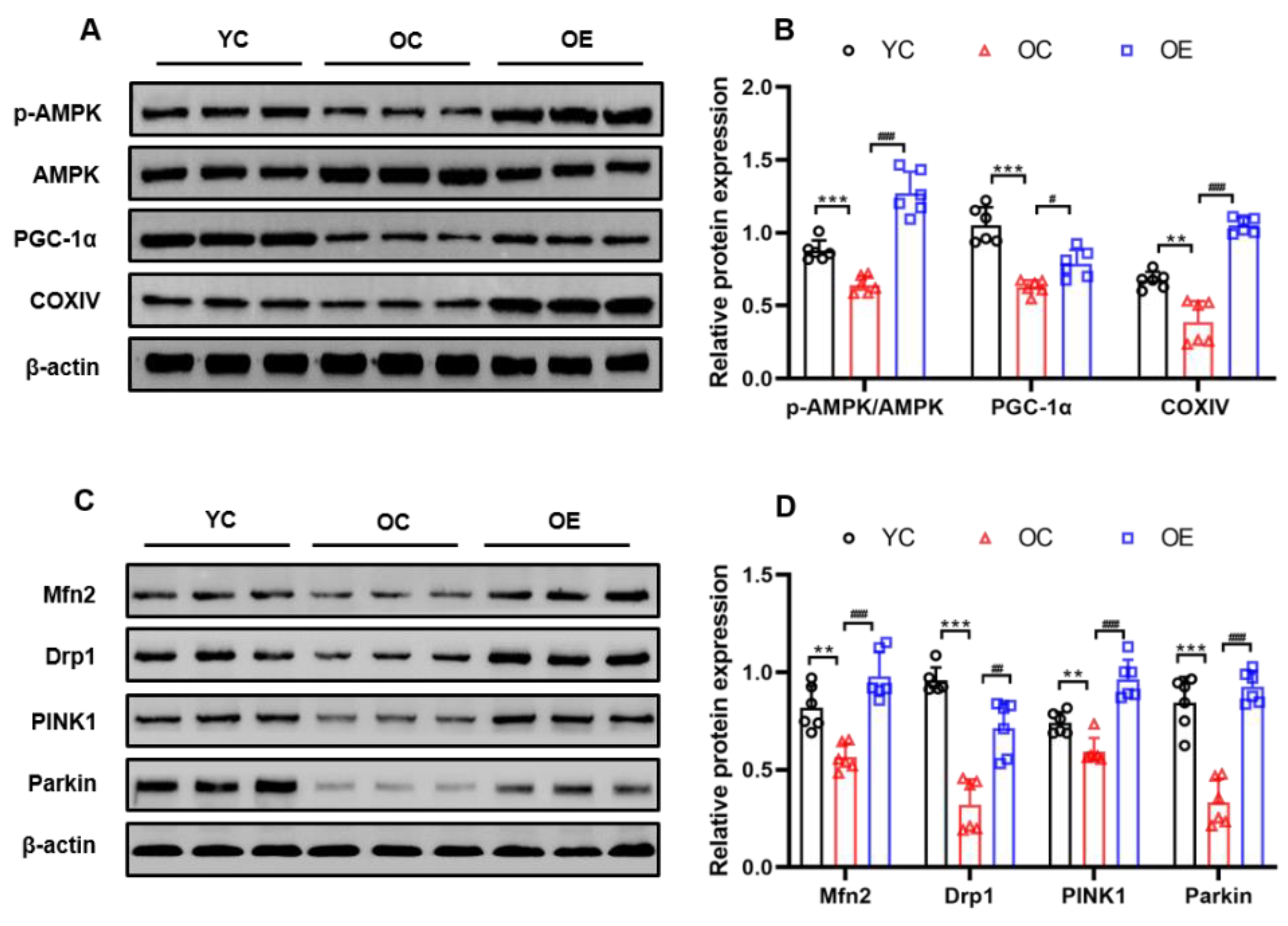 Metabolites 11 00323 g006