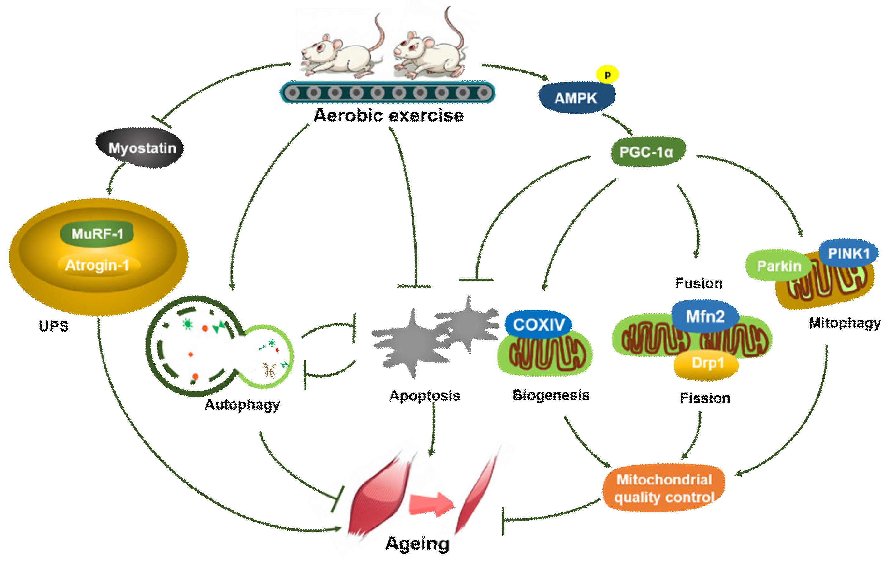 Metabolites 11 00323 g007