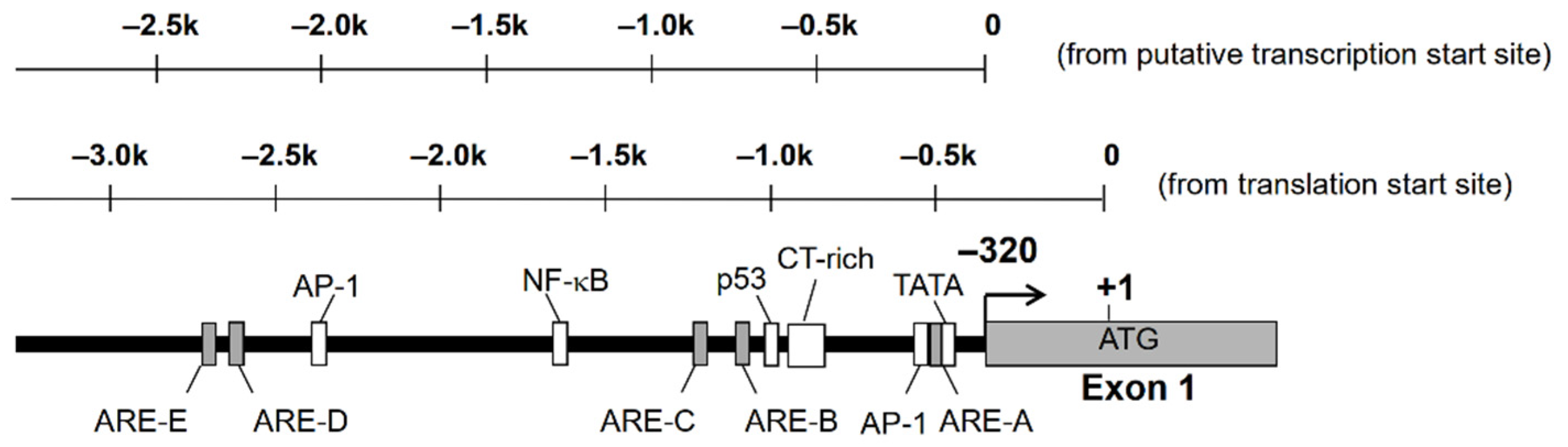 Metabolites 11 00332 g001