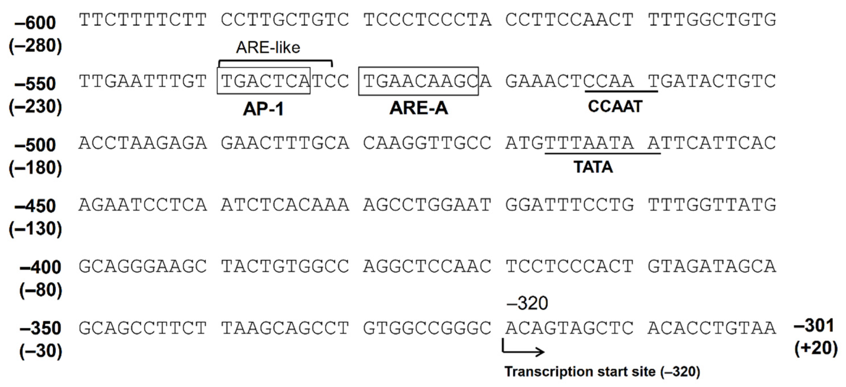 Metabolites 11 00332 g002