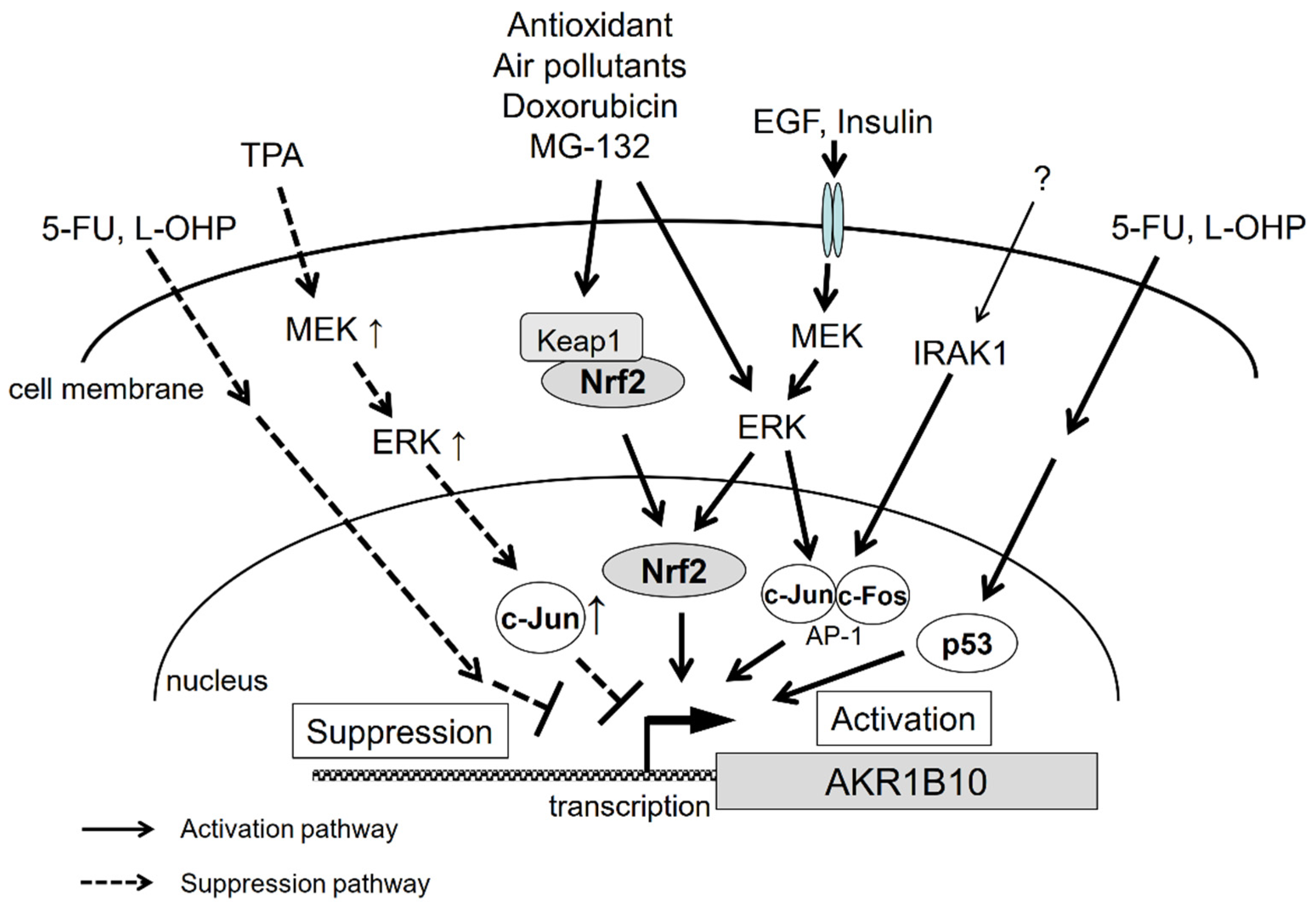 Metabolites 11 00332 g003