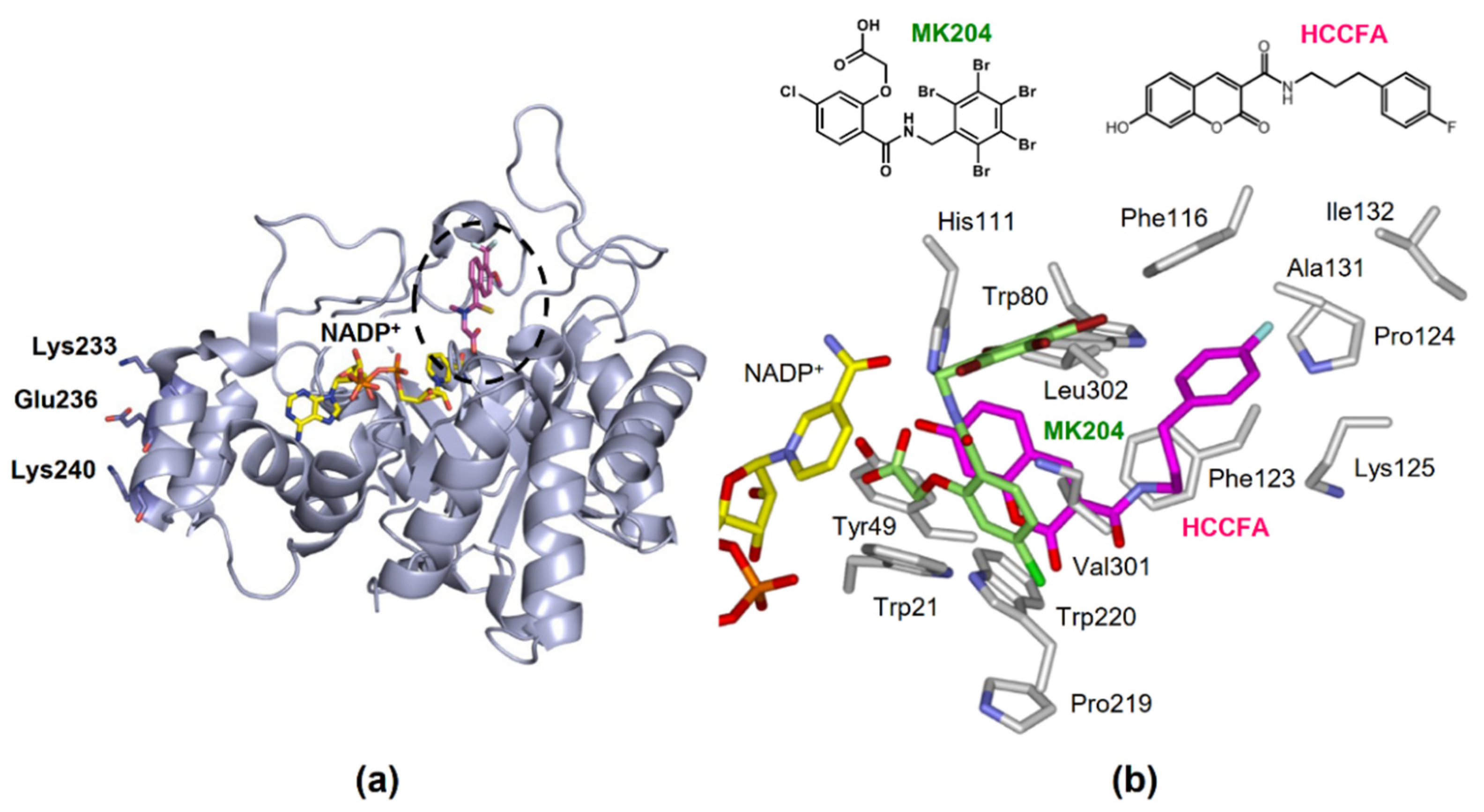 Metabolites 11 00332 g004