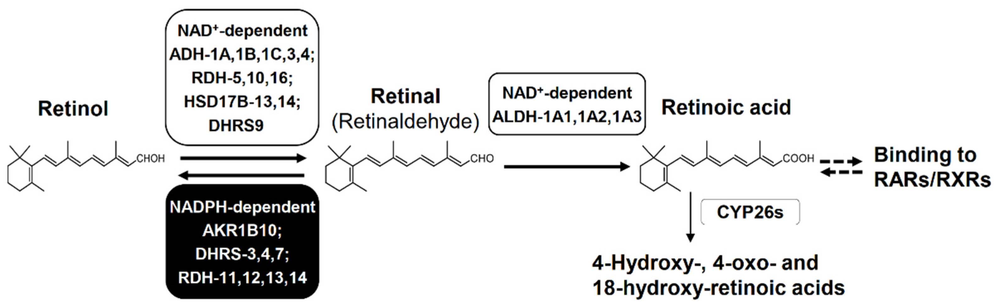 Metabolites 11 00332 g005
