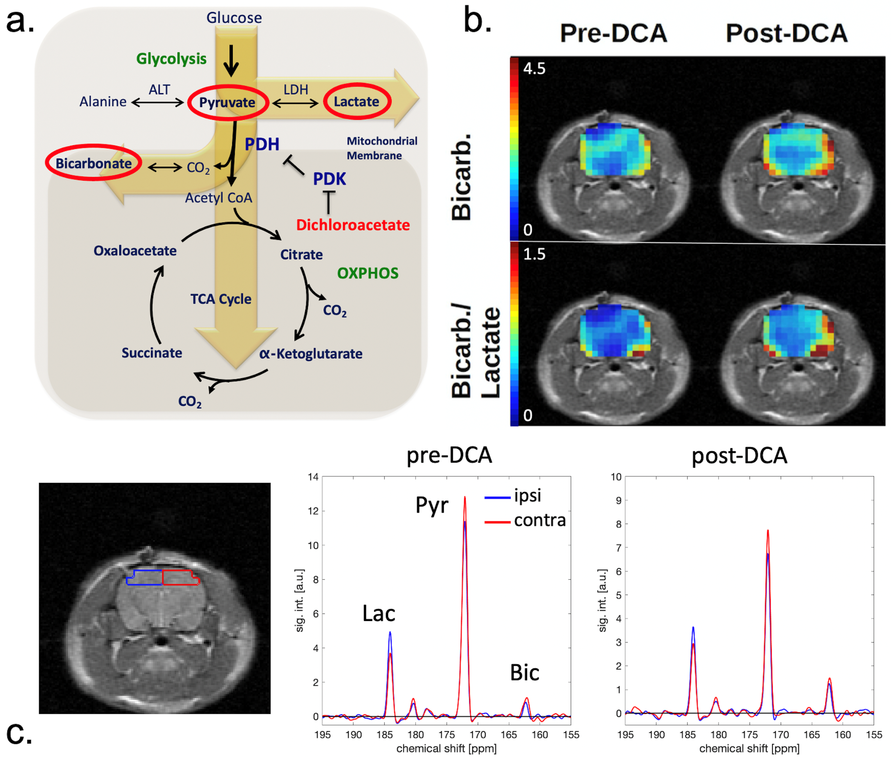 Metabolites 11 00335 g002 Metabolites 11 00335 g002