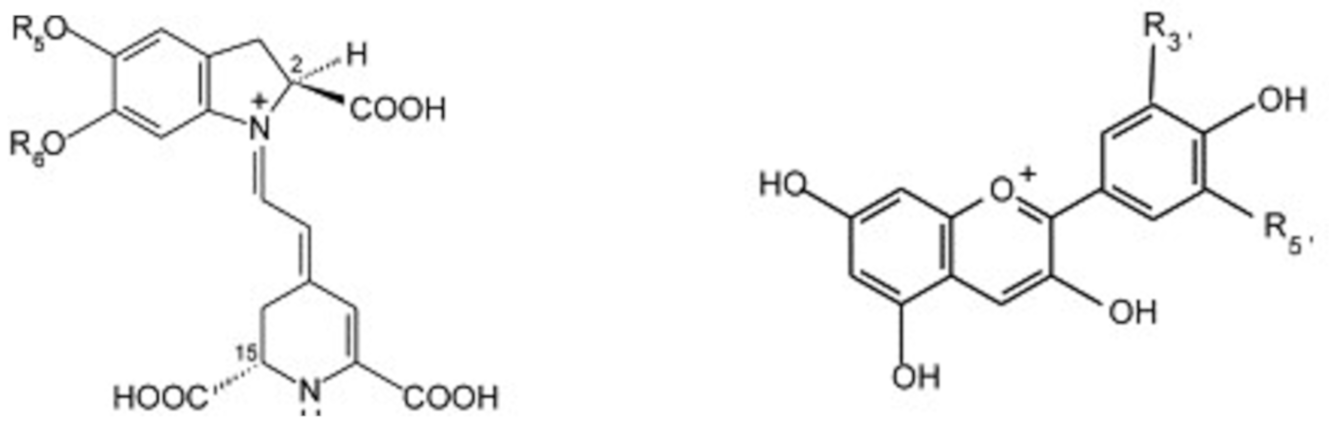 Metabolites 11 00338 g001