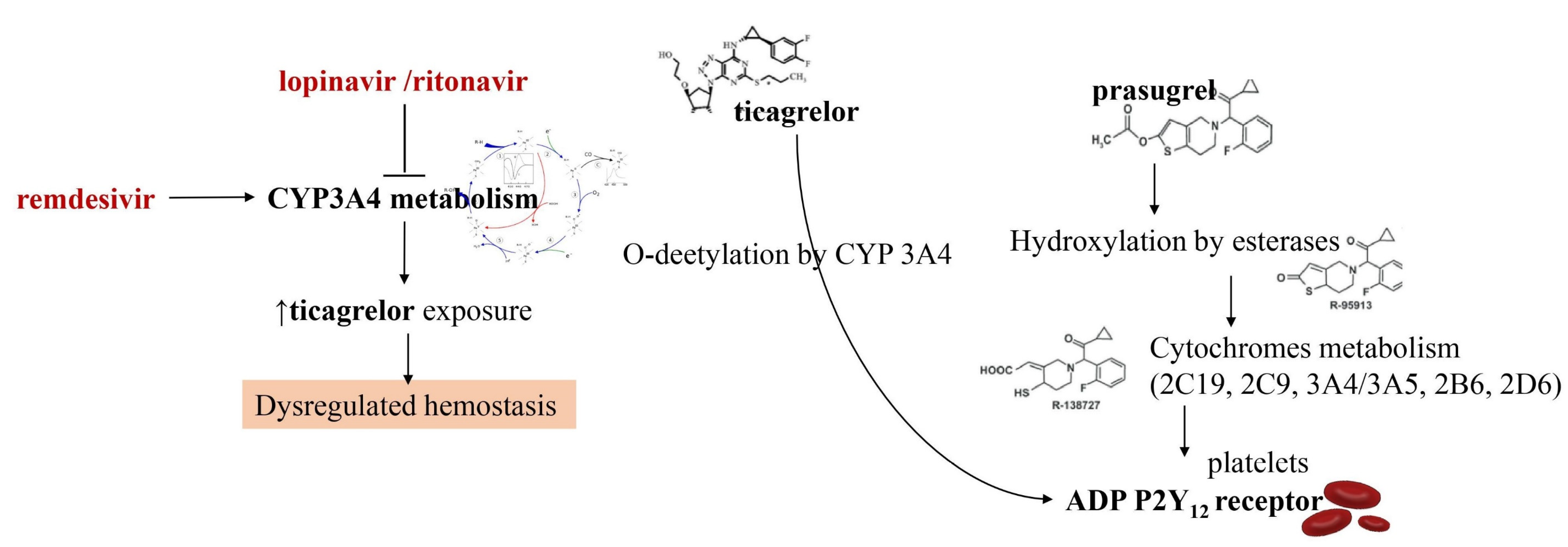 Metabolites 11 00341 g001