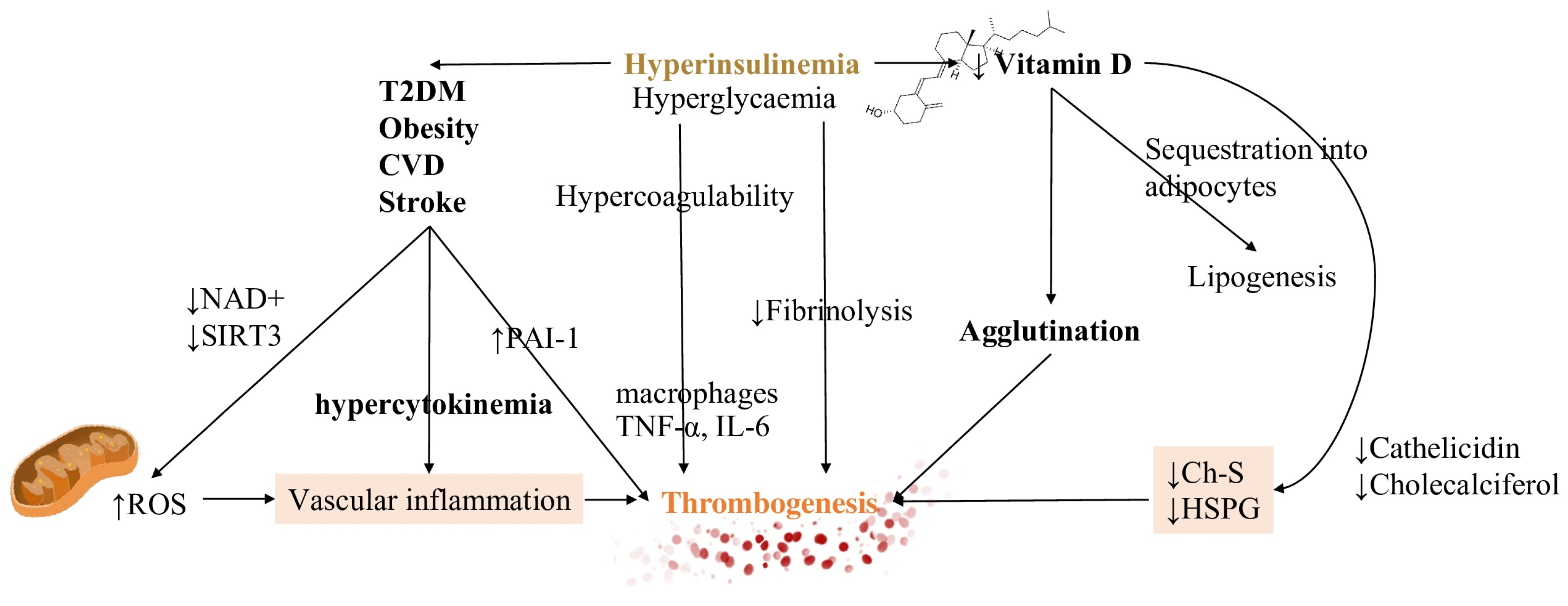 Metabolites 11 00341 g003