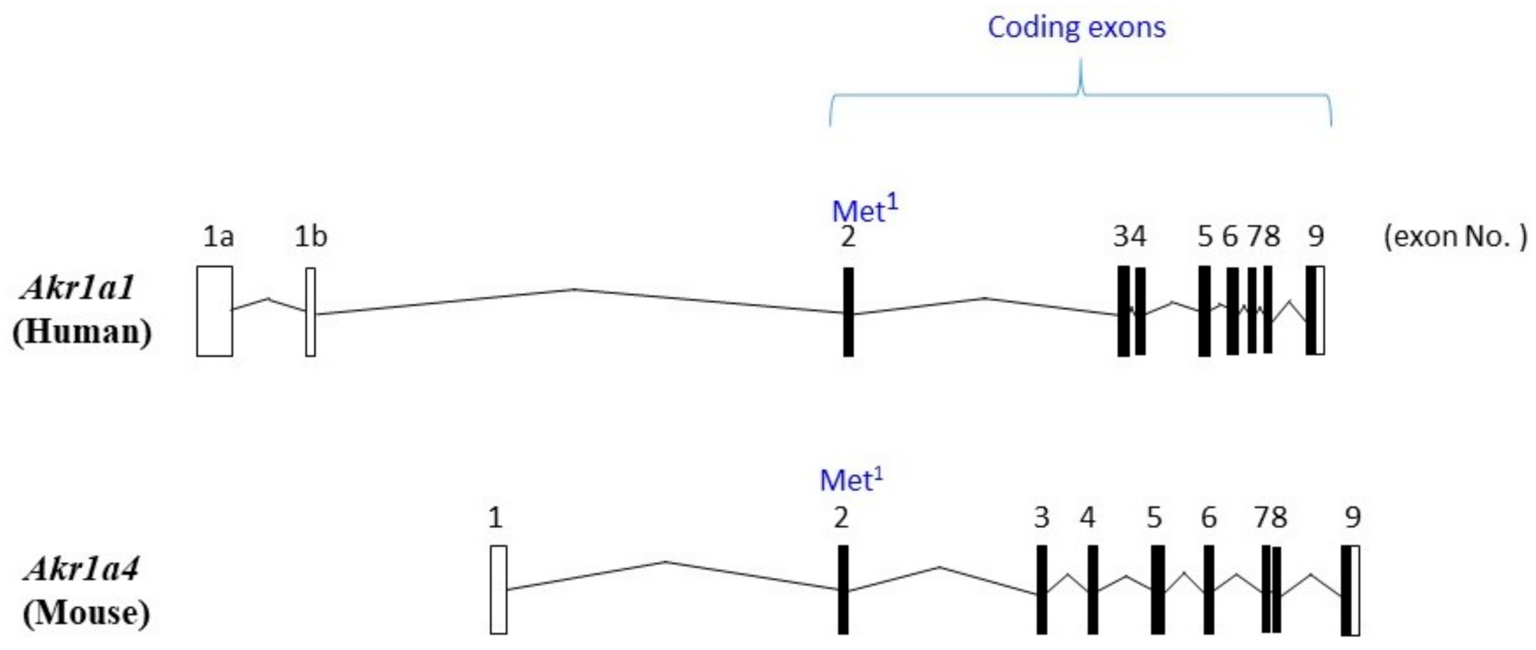 Metabolites 11 00343 g001