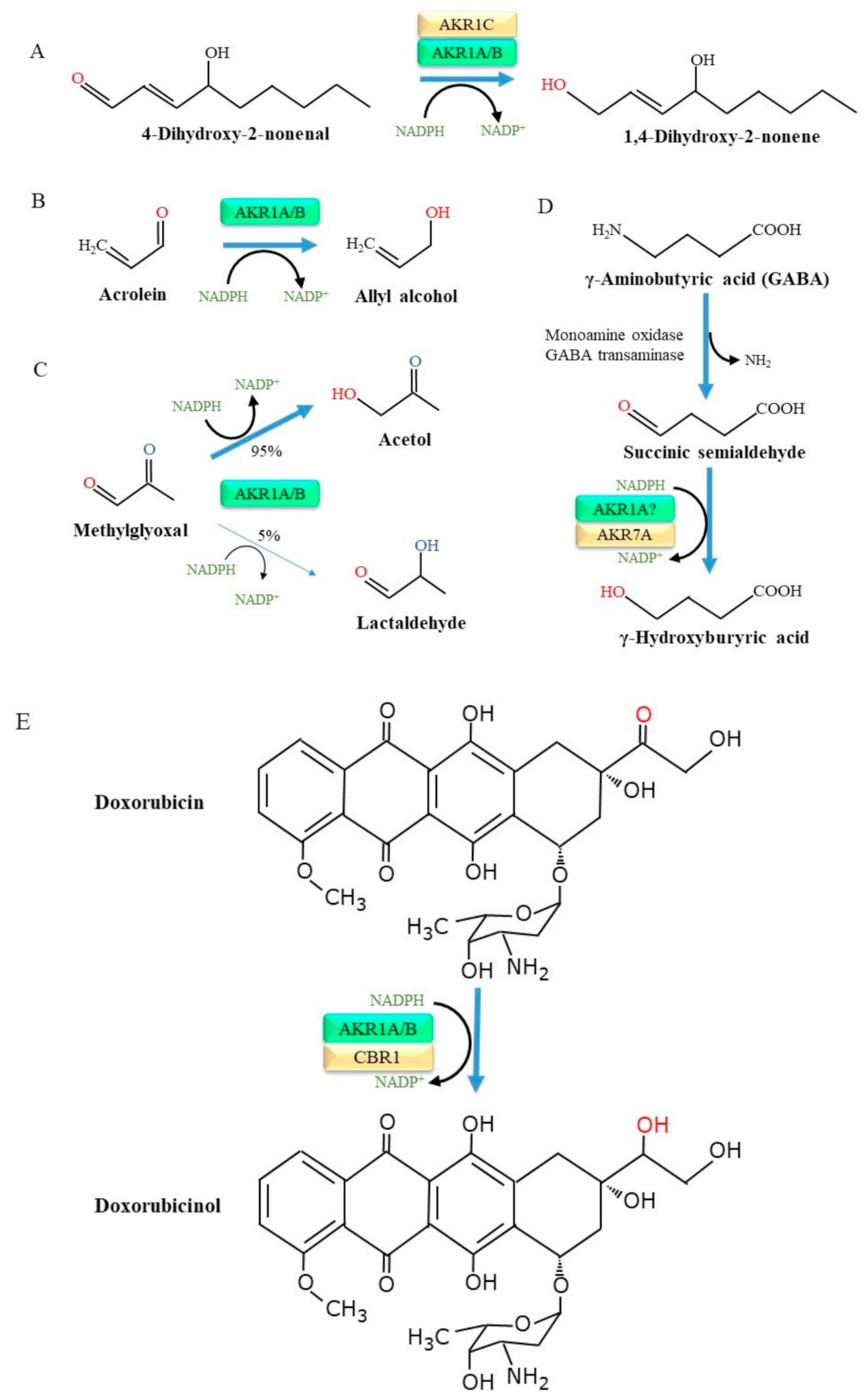Metabolites 11 00343 g002