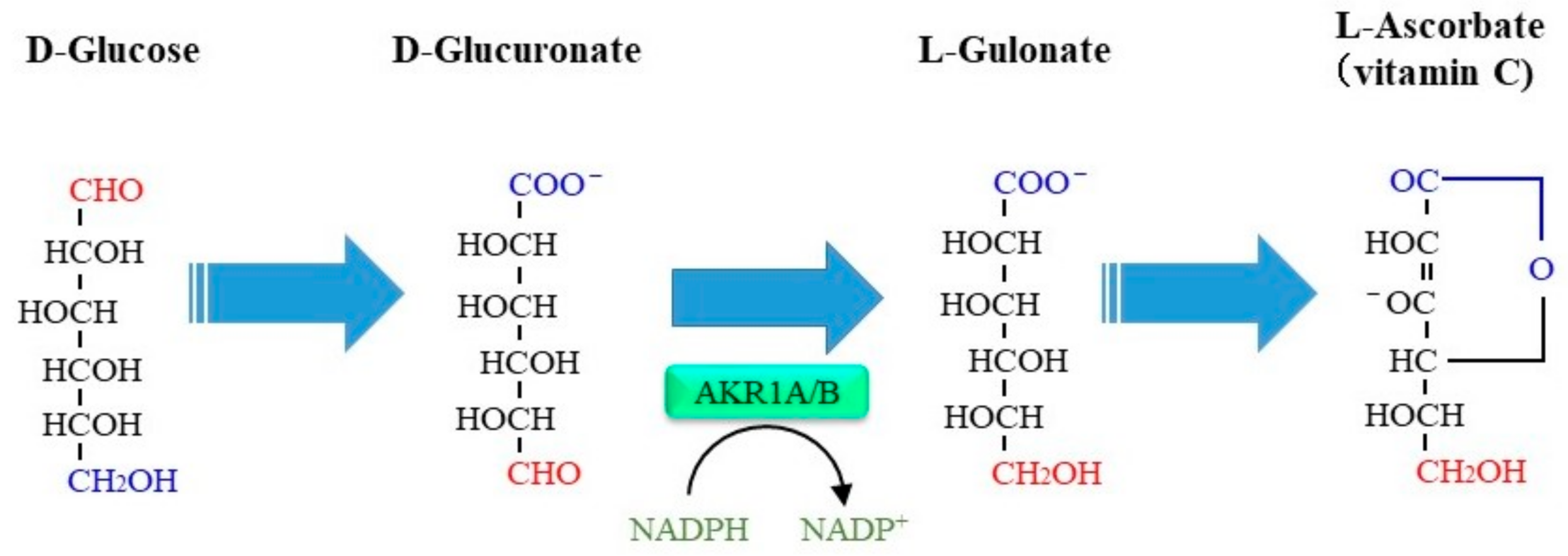 Metabolites 11 00343 g005