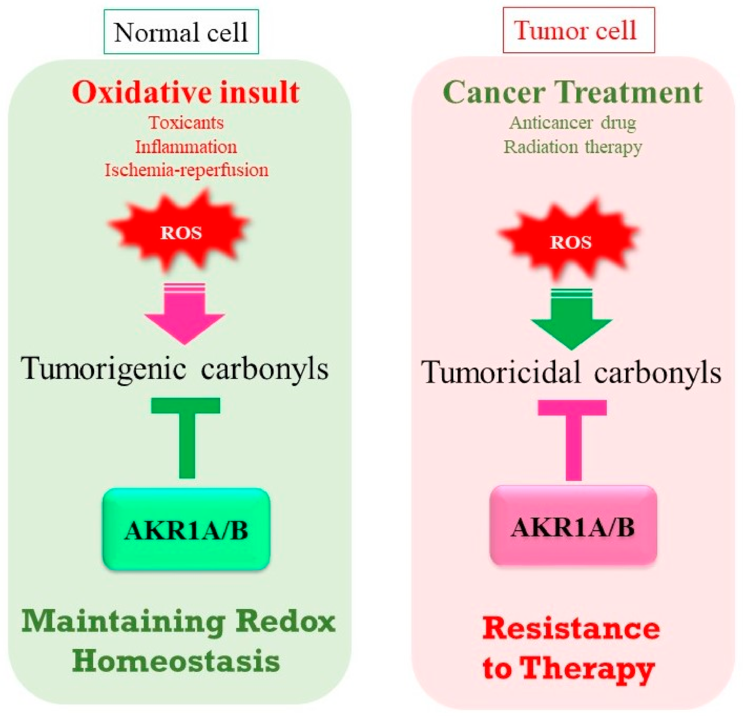 Metabolites 11 00343 g006