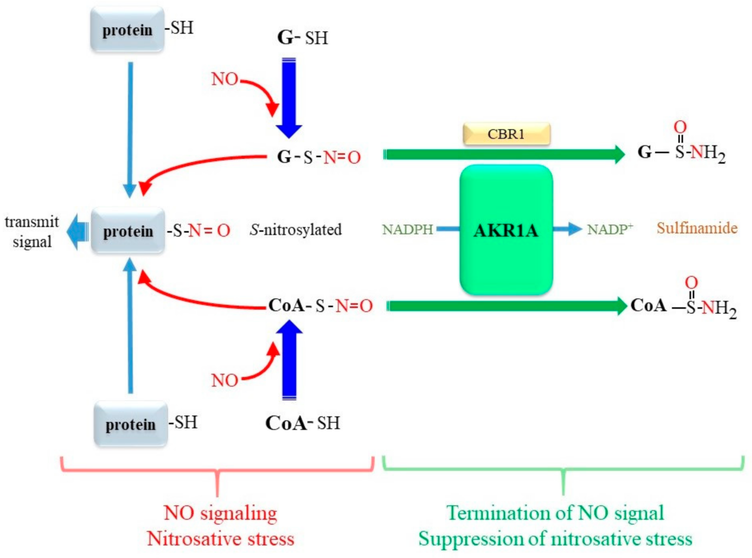 Metabolites 11 00343 g007