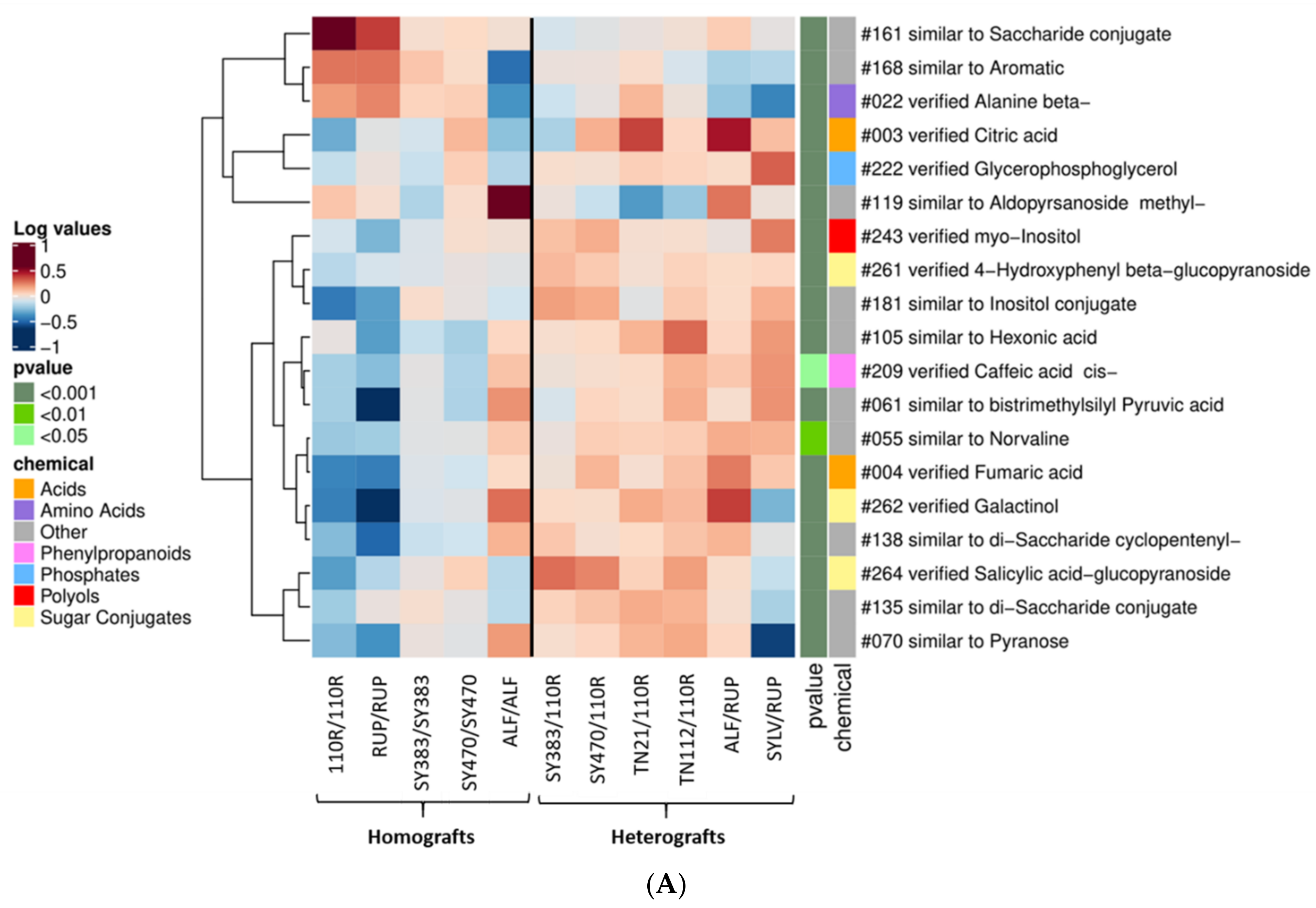 Metabolites 11 00349 g002a