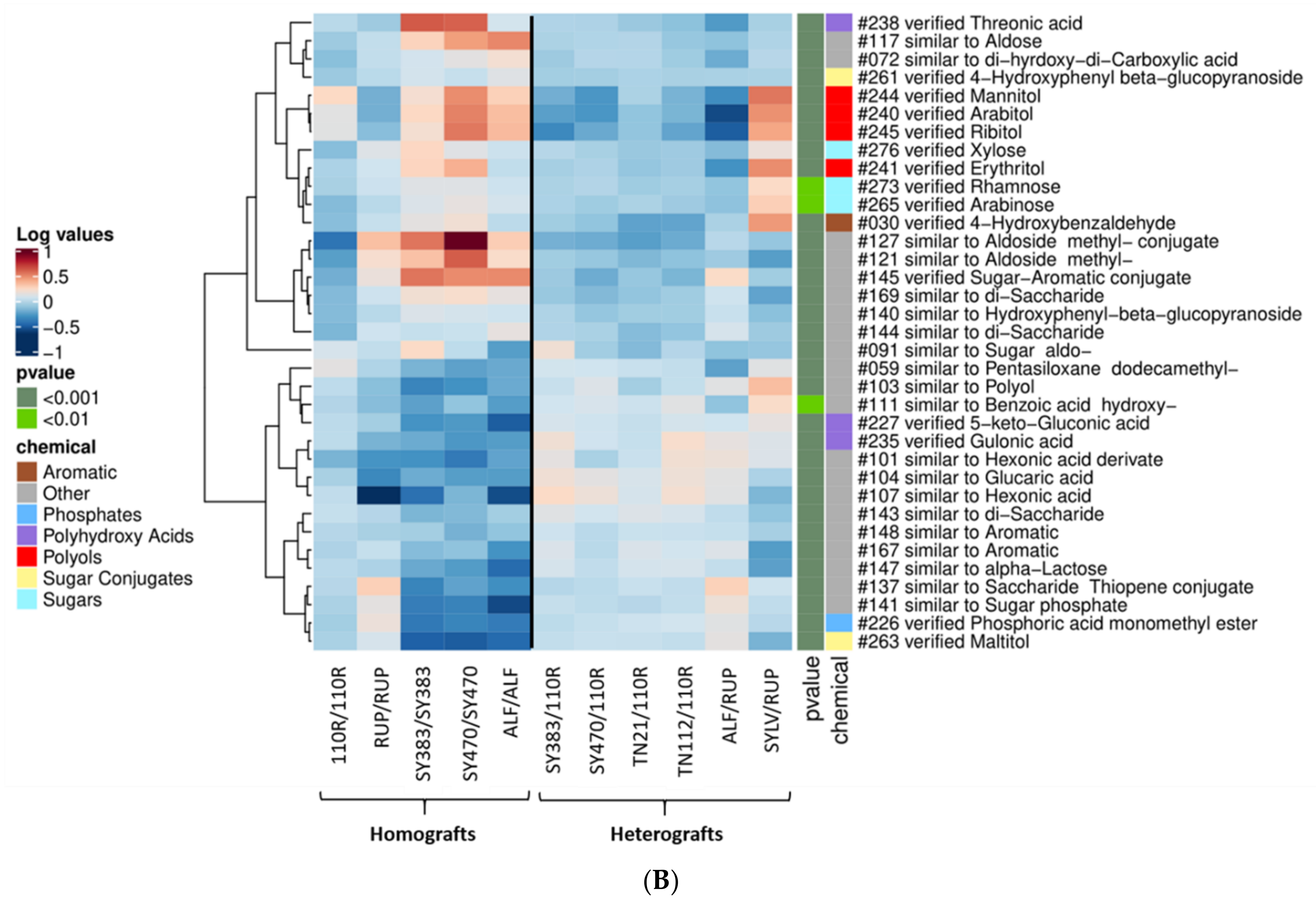 Metabolites 11 00349 g002b