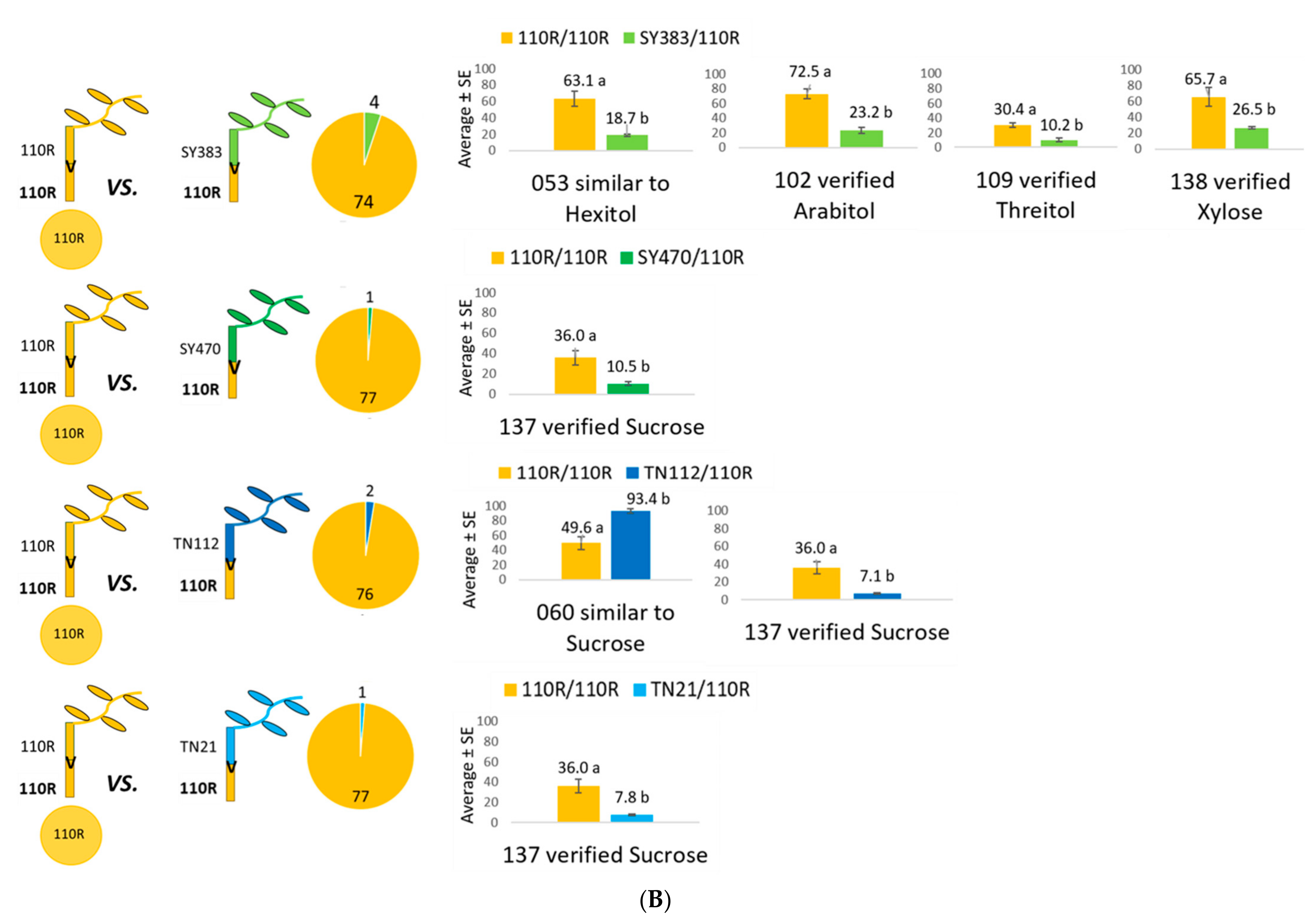 Metabolites 11 00349 g003b
