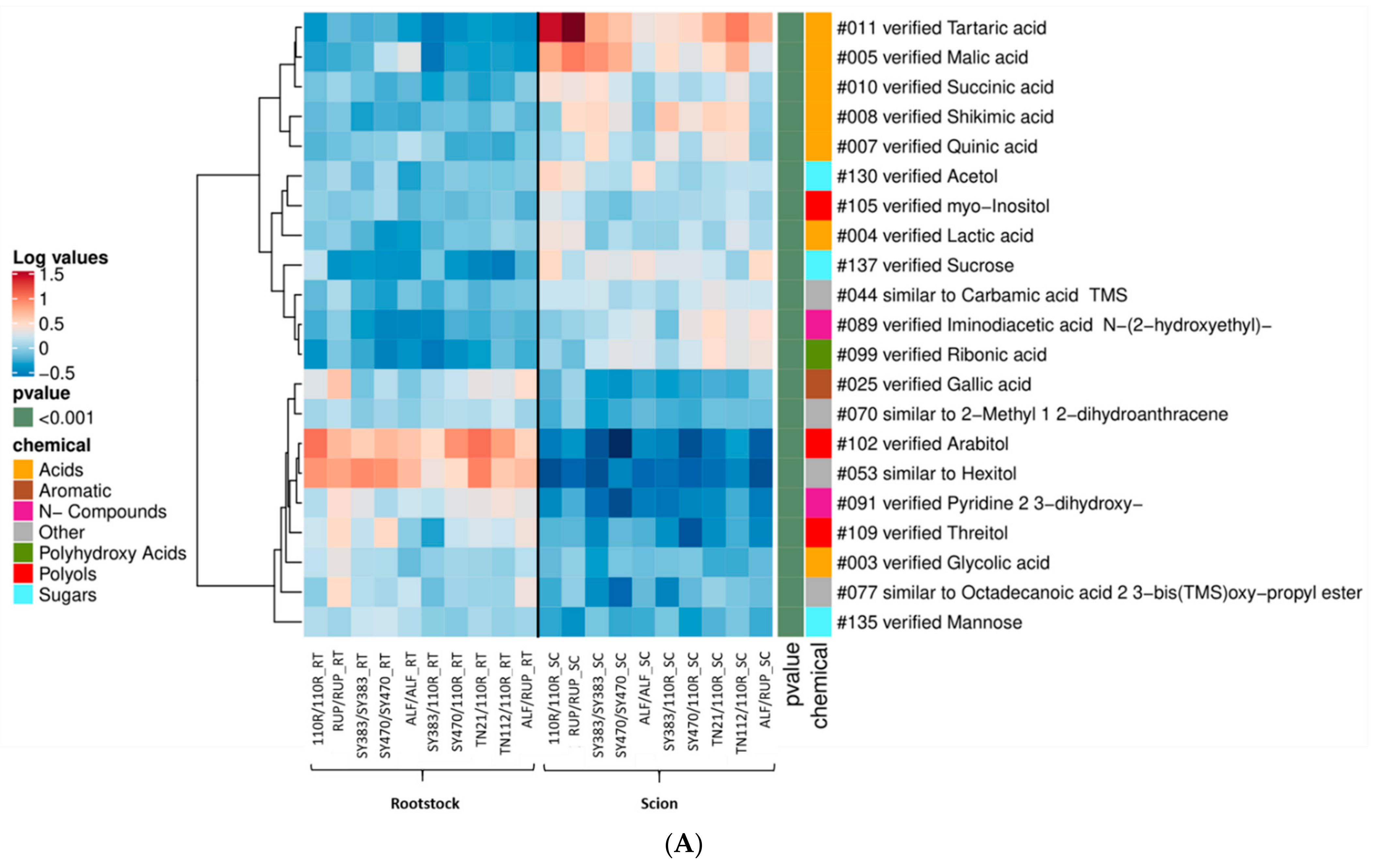 Metabolites 11 00349 g005a