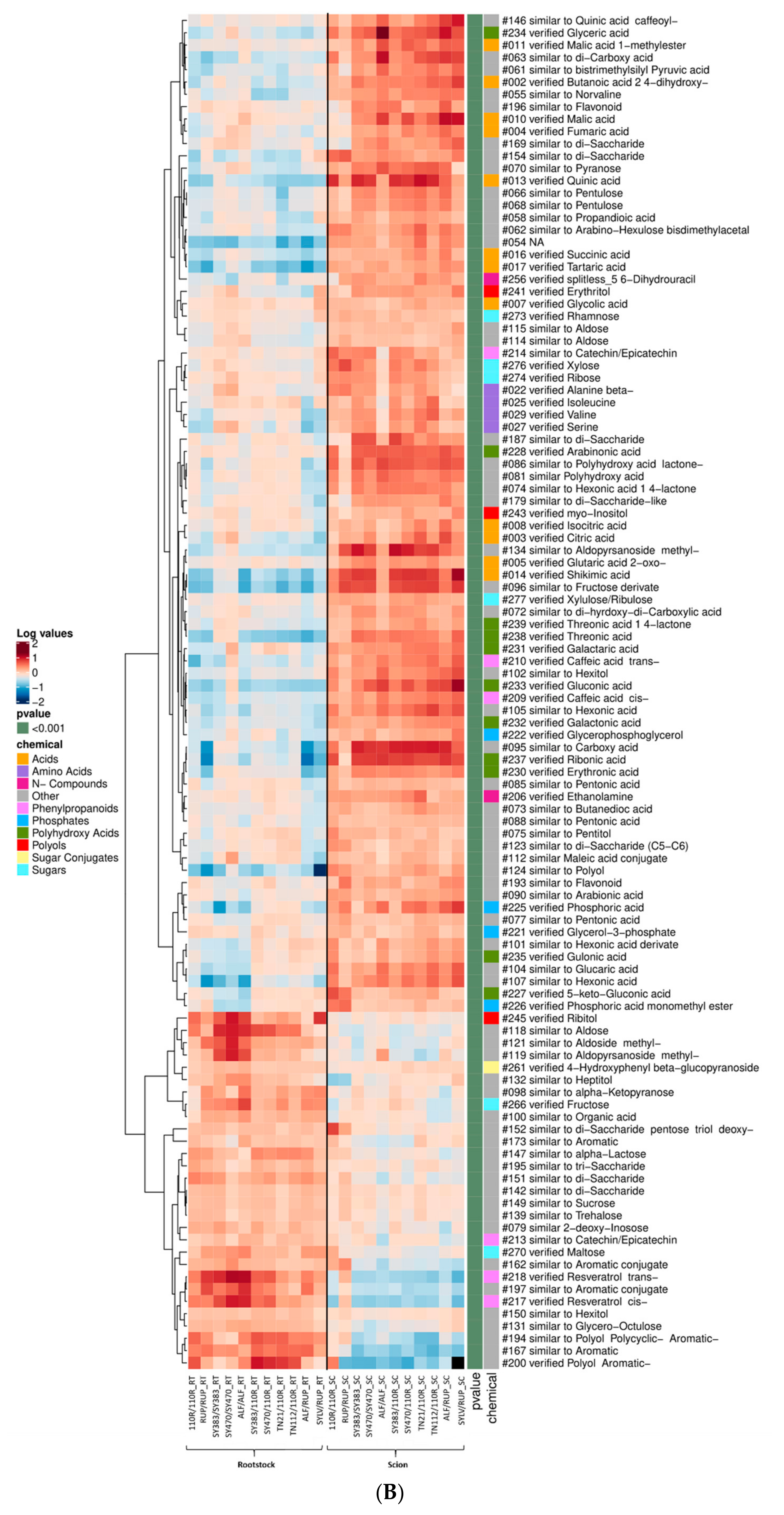 Metabolites 11 00349 g005b