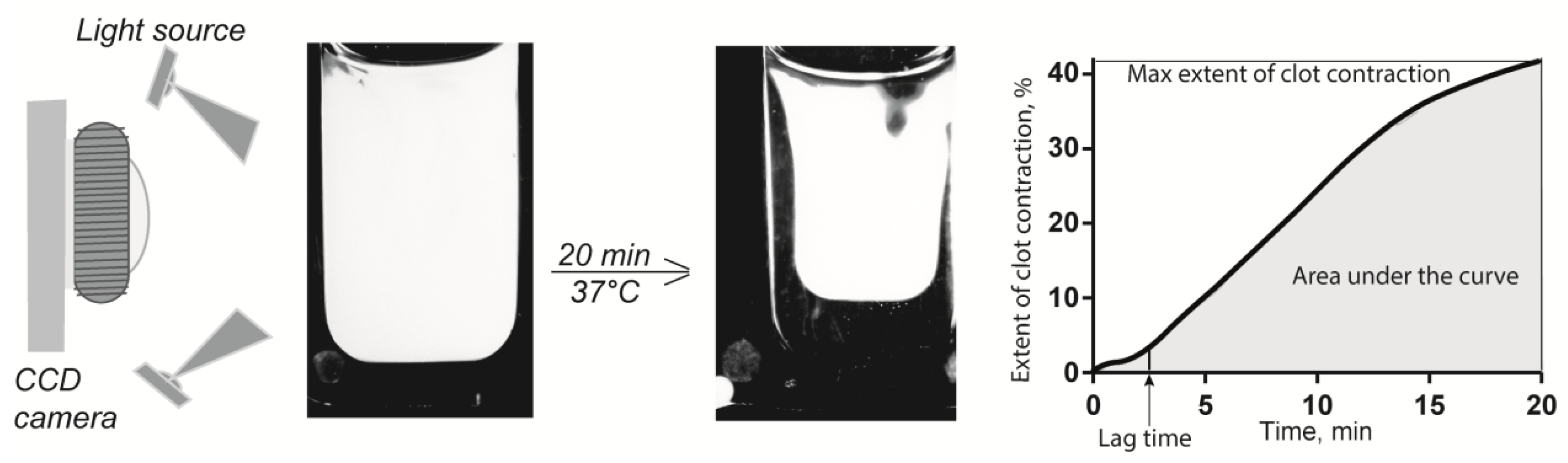 Metabolites 11 00354 g005 Metabolites 11 00354 g005